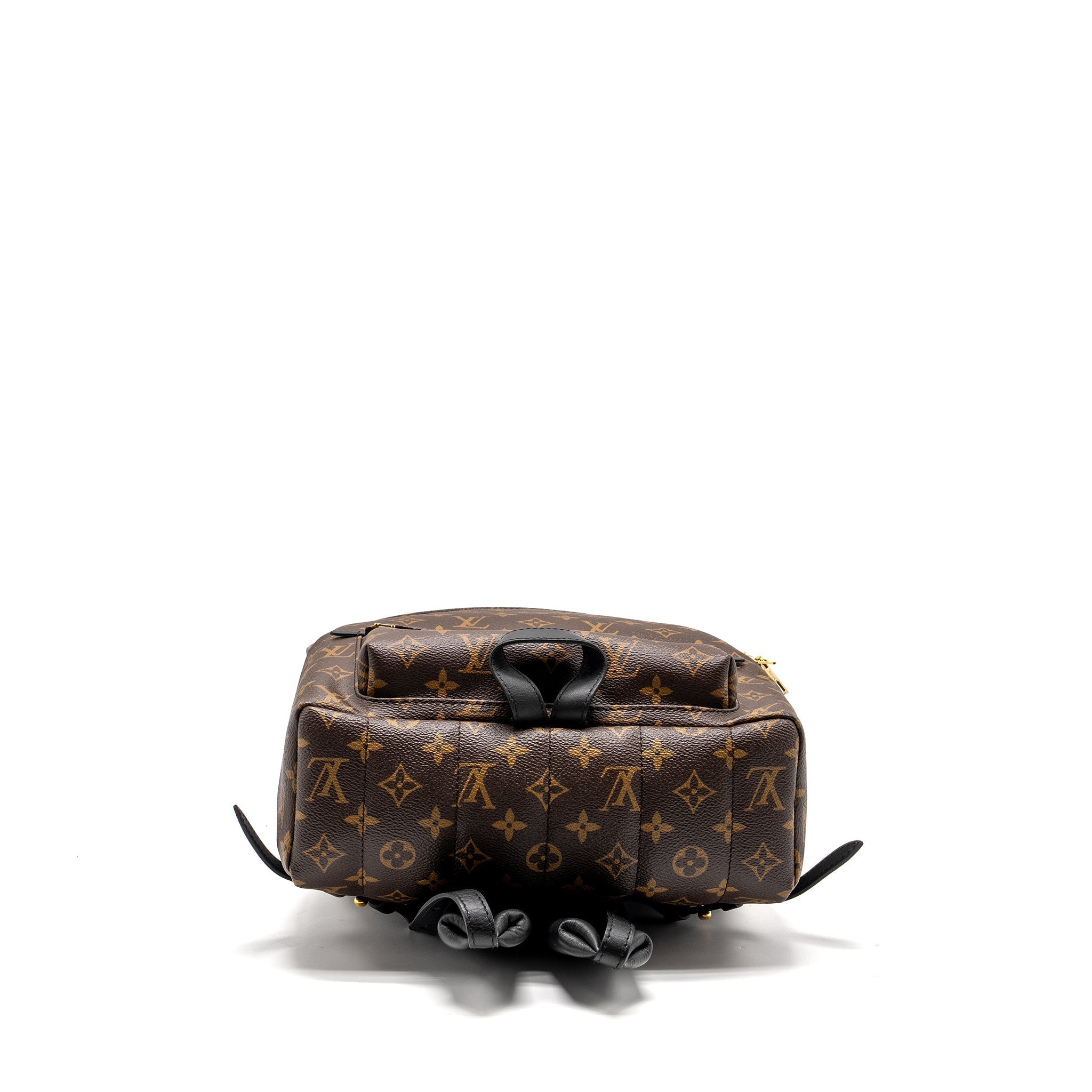 PALM SPRING BACKPACK MM MONOGRAM CANVAS