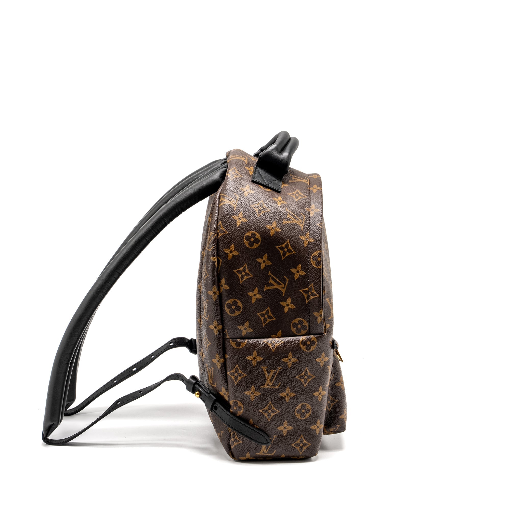 PALM SPRING BACKPACK MM MONOGRAM CANVAS