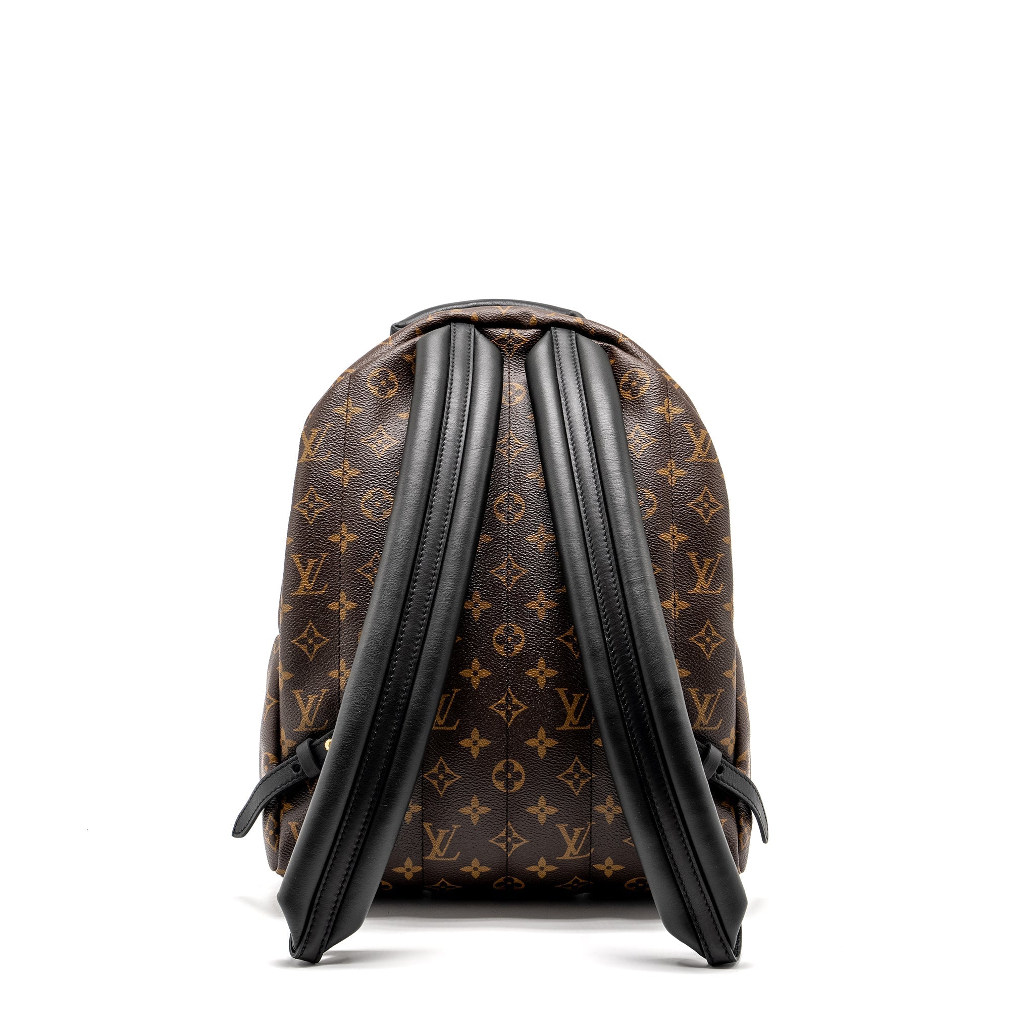 PALM SPRING BACKPACK MM MONOGRAM CANVAS