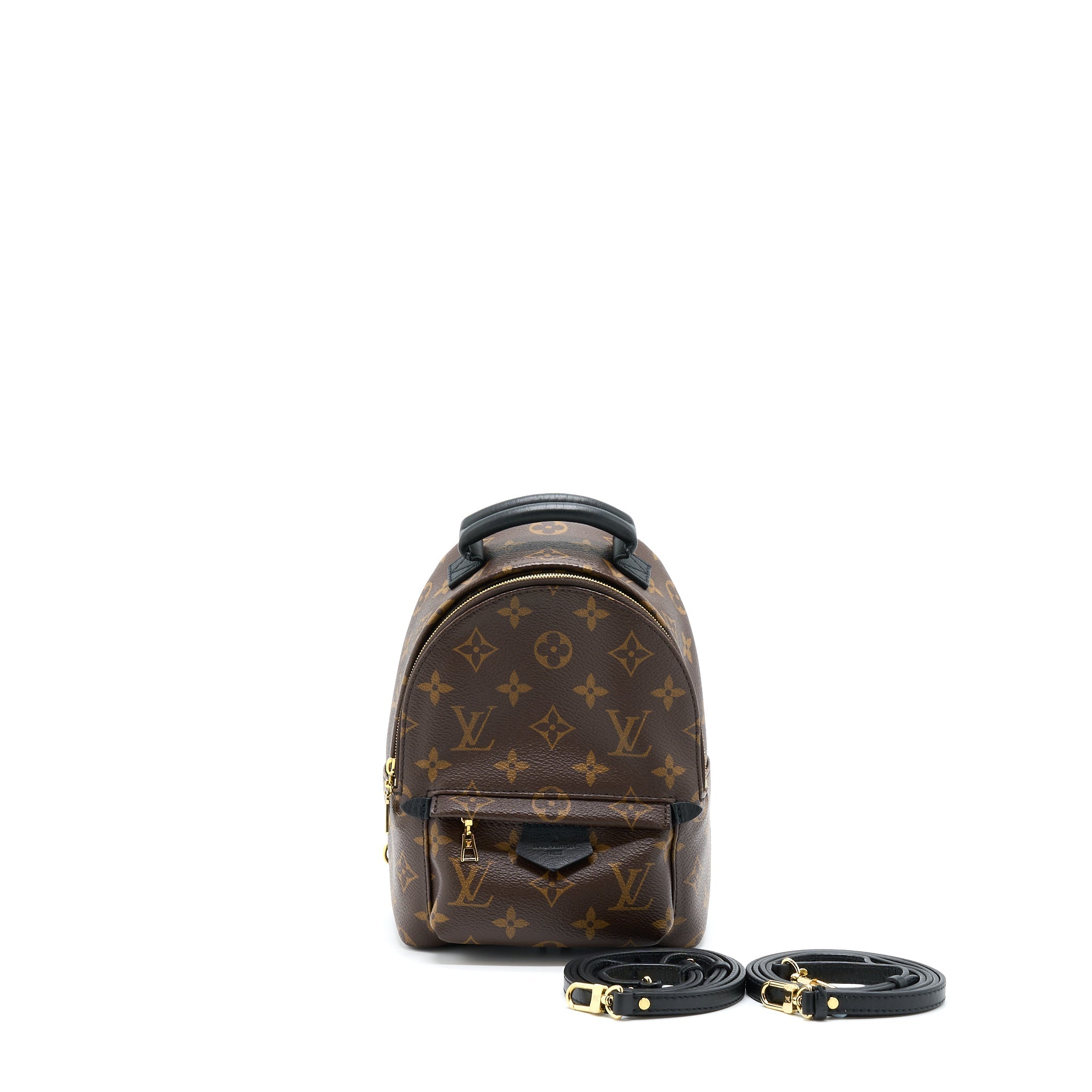 PALM SPRING MINI BACKPACK MONOGRAM CANVAS(NEW VERSION ZIPPER)