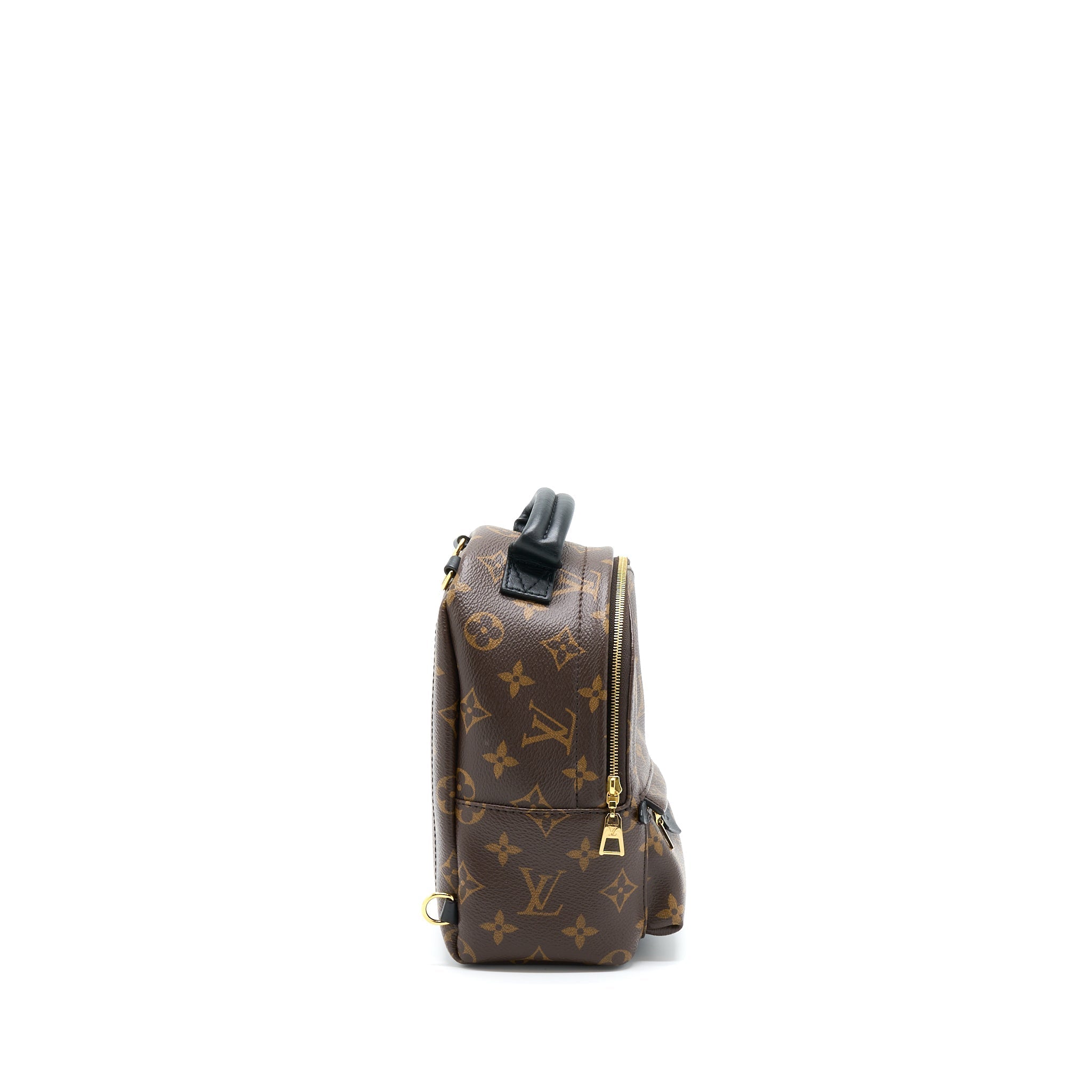 PALM SPRING MINI BACKPACK MONOGRAM CANVAS(NEW VERSION ZIPPER)