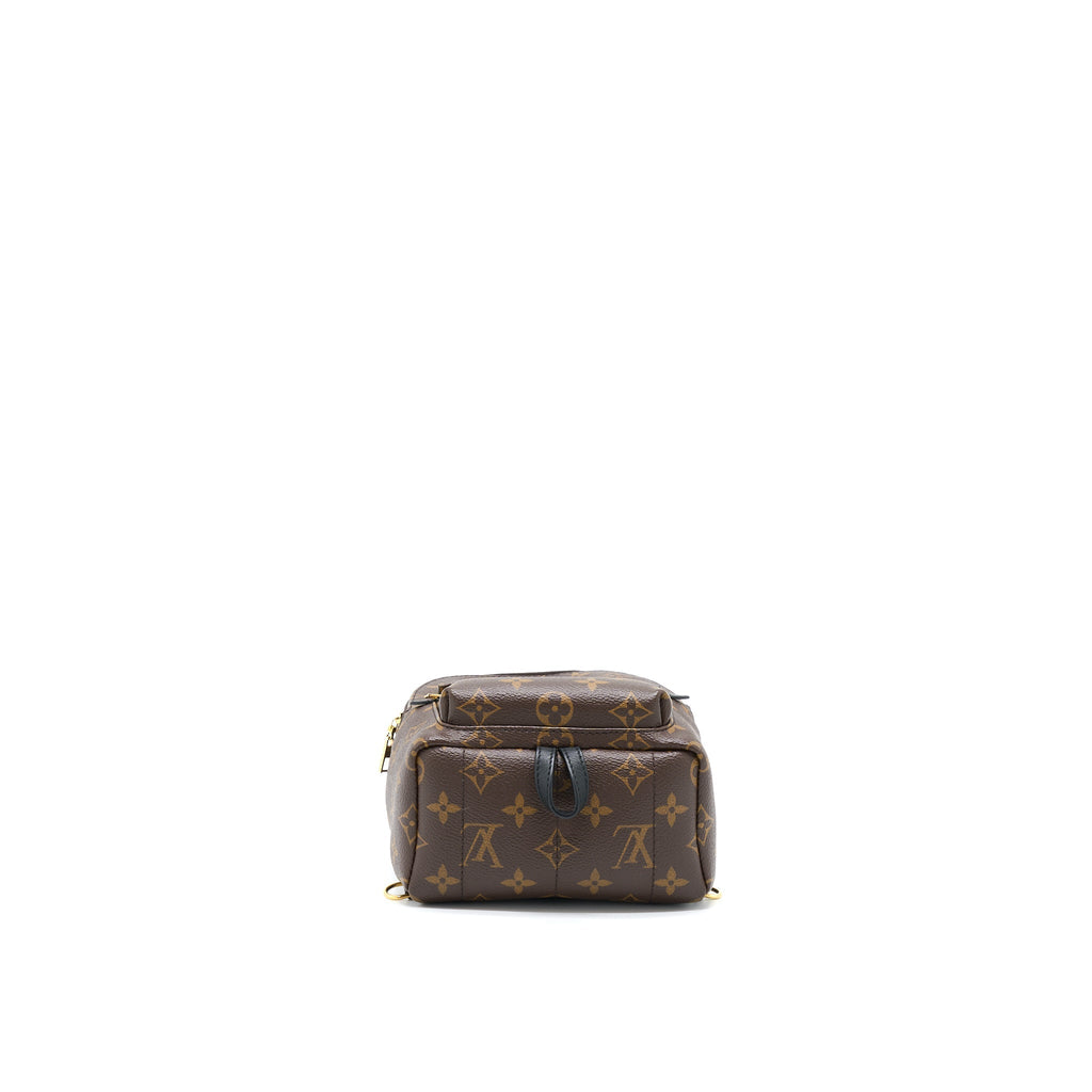 PALM SPRING MINI BACKPACK MONOGRAM CANVAS(NEW VERSION ZIPPER)