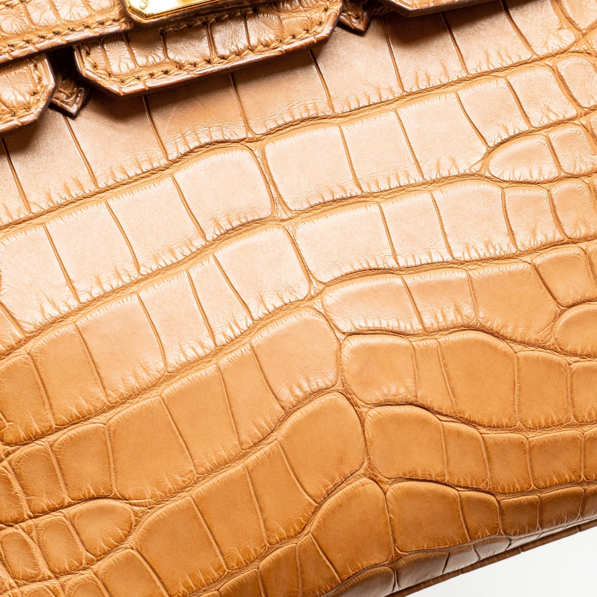 HERMES BIRKIN 20 ALLIGATOR MISSISSIPPIENSIS MAT GOLD GHW