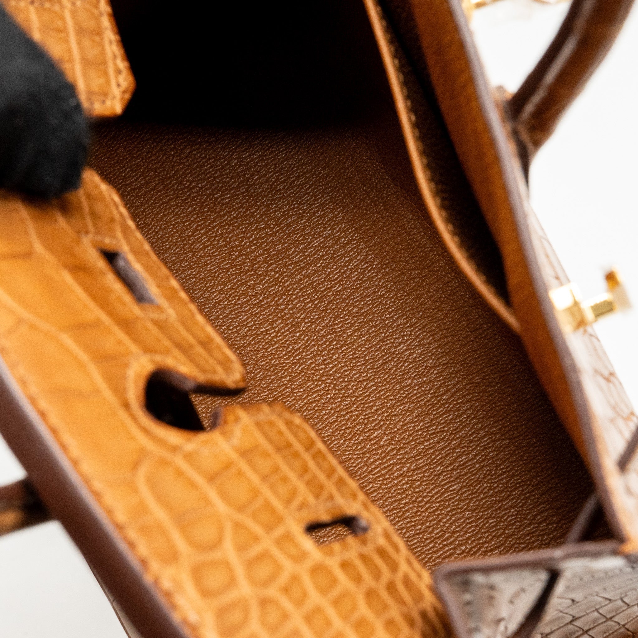 HERMES BIRKIN 20 ALLIGATOR MISSISSIPPIENSIS MAT GOLD GHW