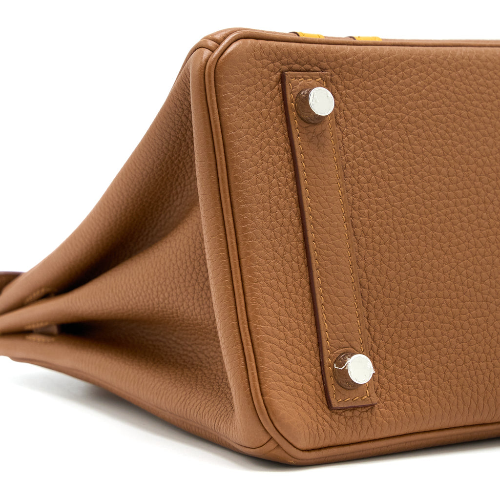 HERMES BIRKIN 25 OFFICER TOGO/SWIFT GOLD/AMBRE SHW