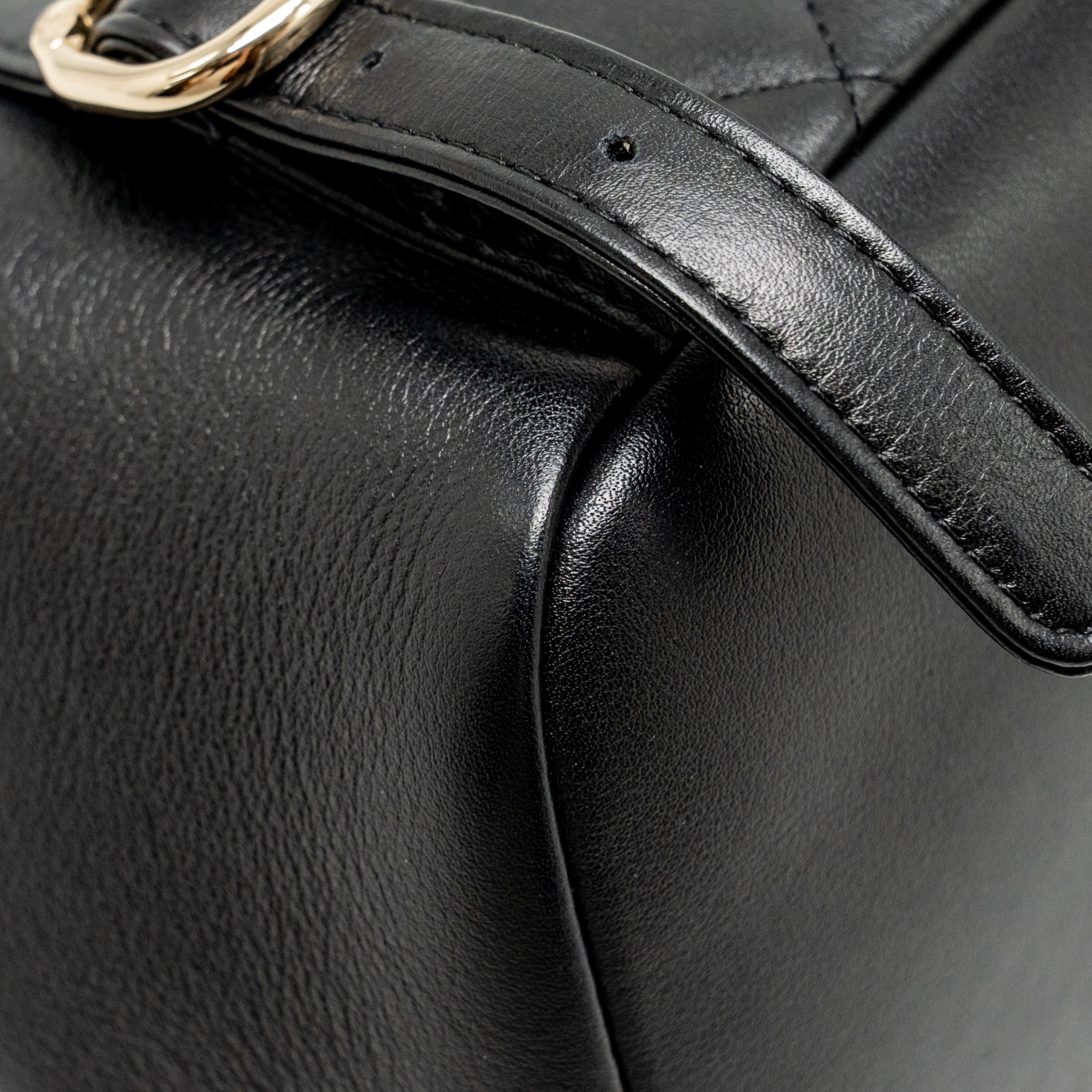 MINI DUMA BACKPACK CALFSKIN BLACK LGHW (MICROCHIP)