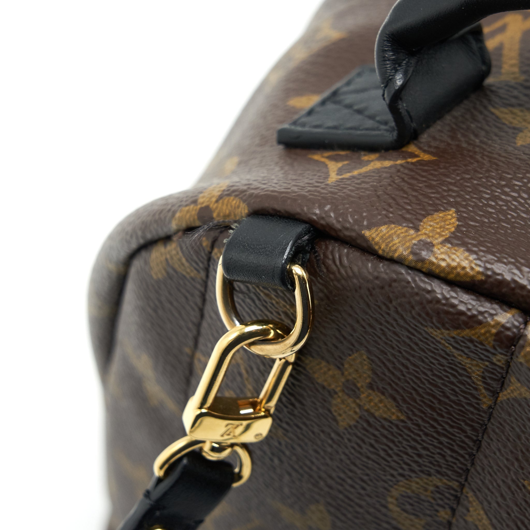 PALM SPRING MINI BACKPACK MONOGRAM CANVAS
