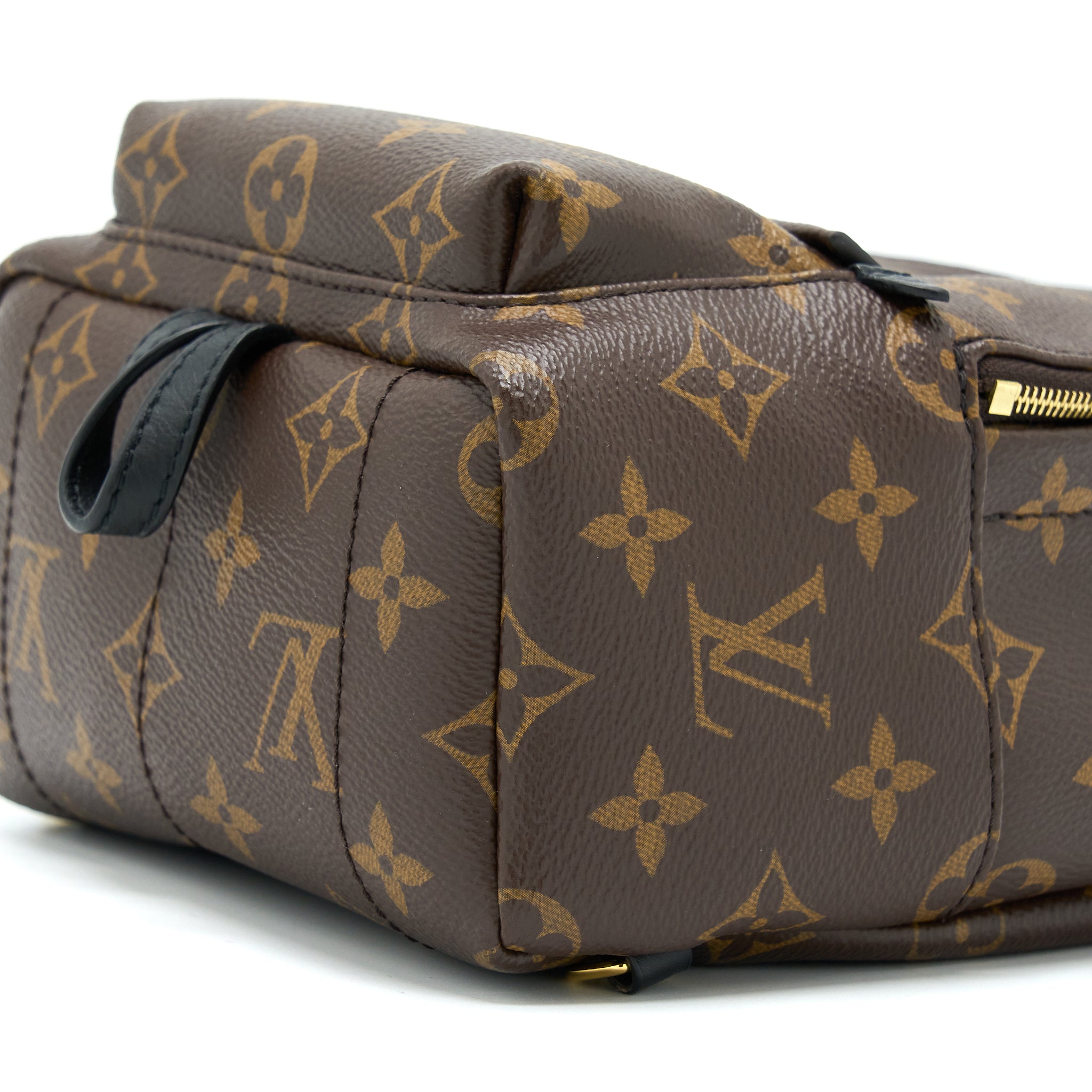 PALM SPRING MINI BACKPACK MONOGRAM CANVAS(NEW VERSION ZIPPER)