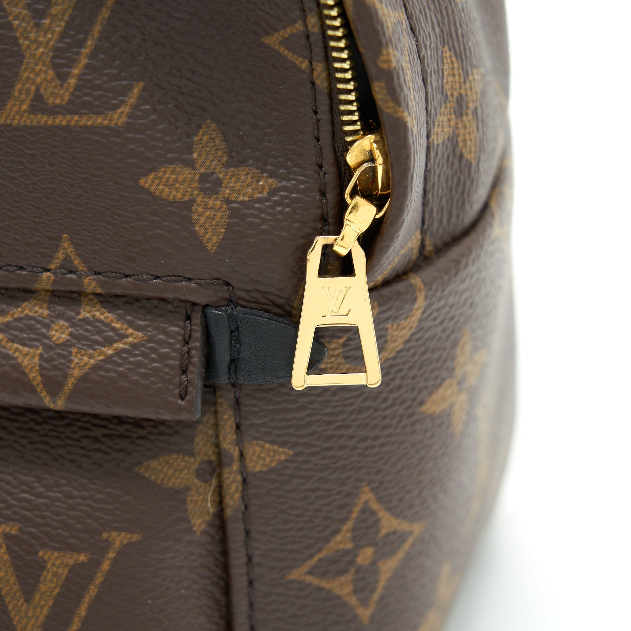 PALM SPRING MINI BACKPACK MONOGRAM CANVAS GHW