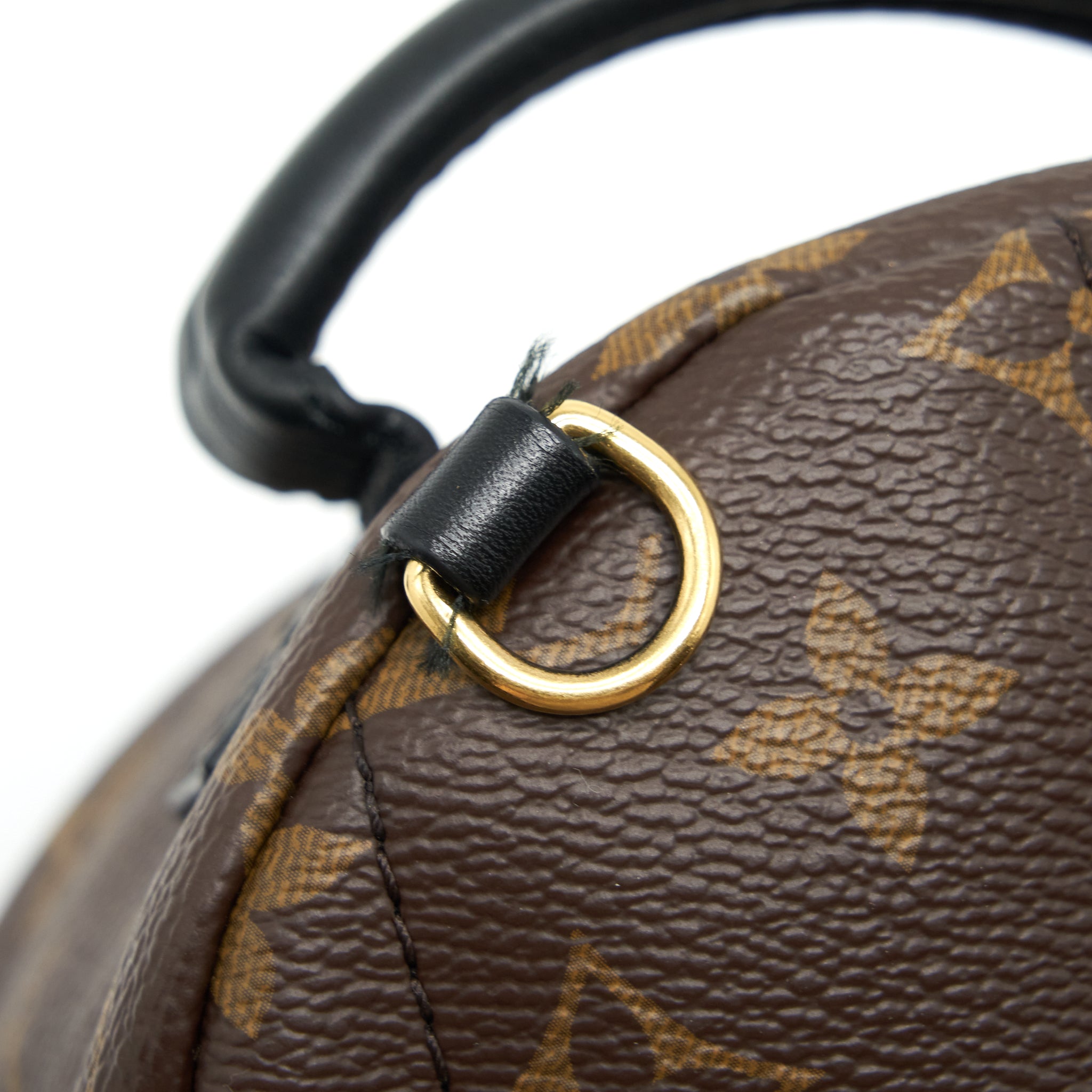 PALM SPRING MINI BACKPACK MONOGRAM CANVAS GHW