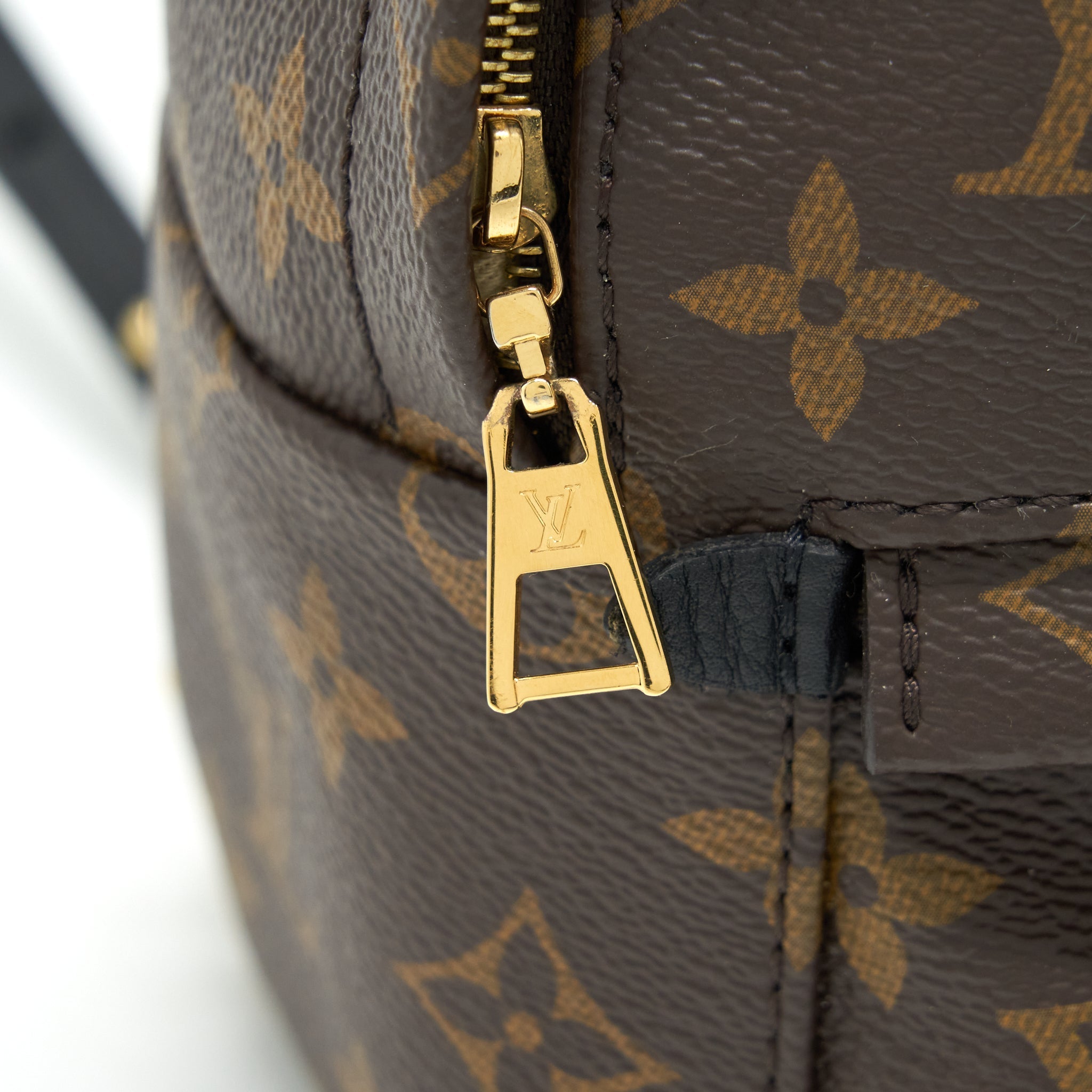 PALM SPRING MINI BACKPACK MONOGRAM CANVAS YEAR 2018