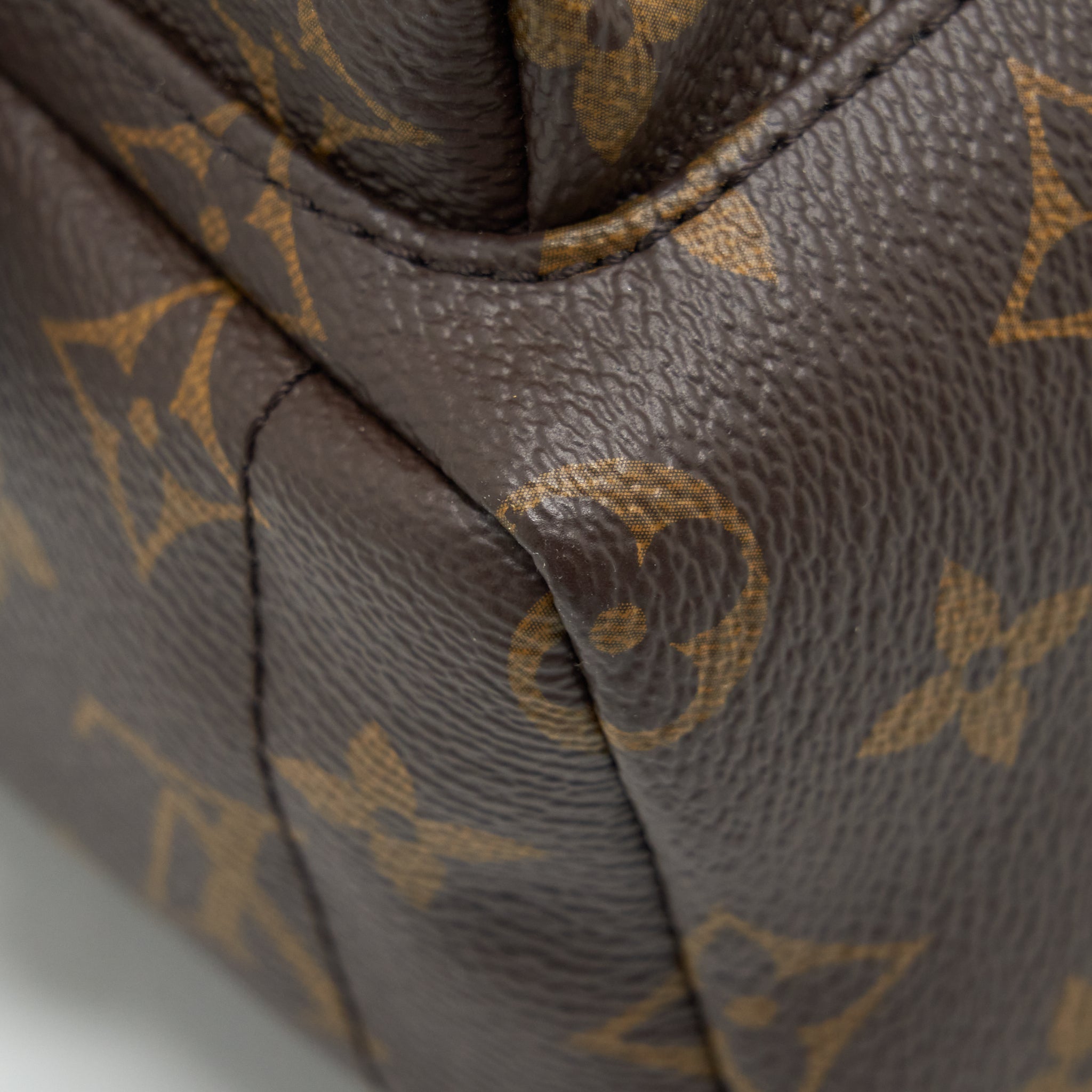 PALM SPRING MINI BACKPACK MONOGRAM CANVAS YEAR 2018