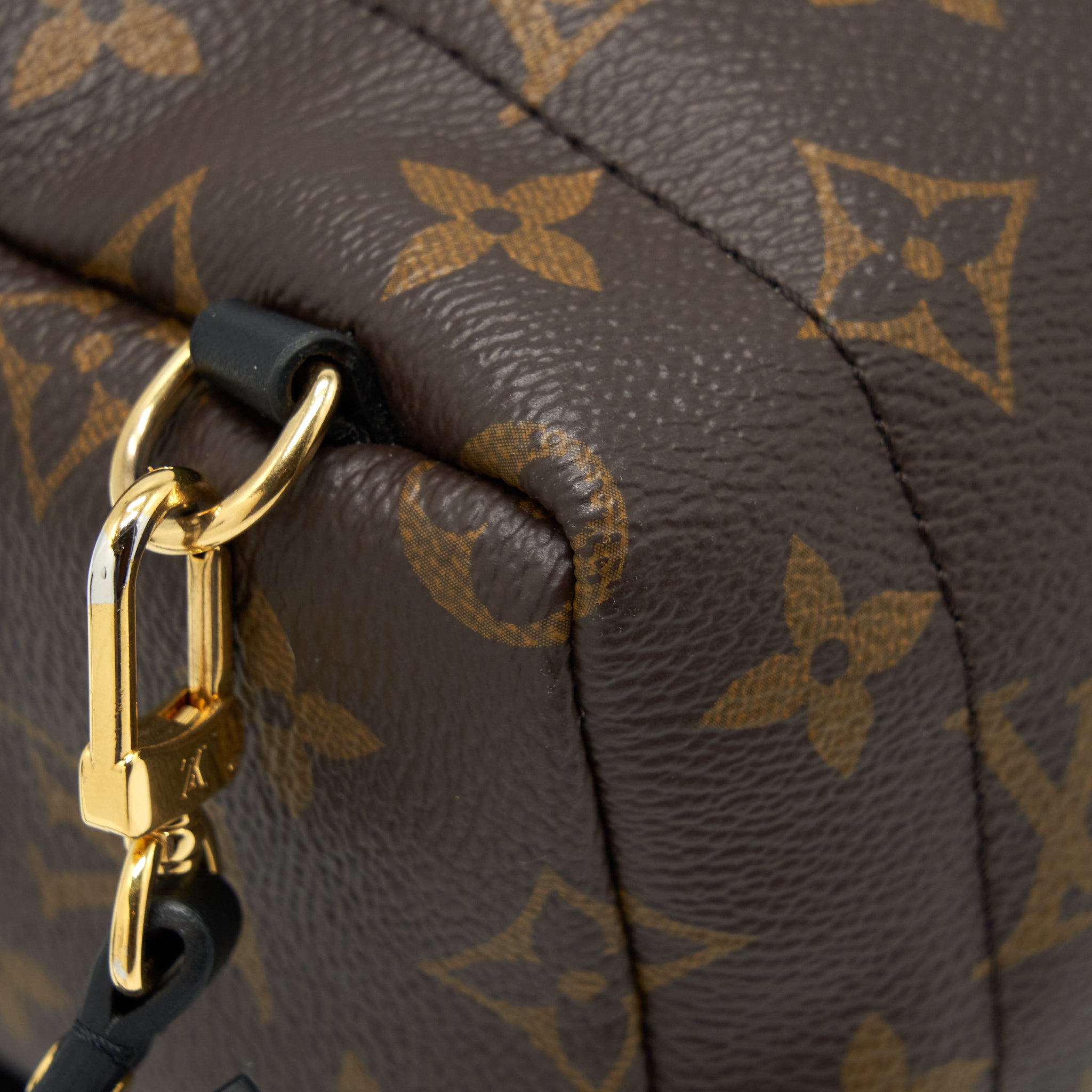 PALM SPRING MINI BACKPACK MONOGRAM CANVAS YEAR 2018