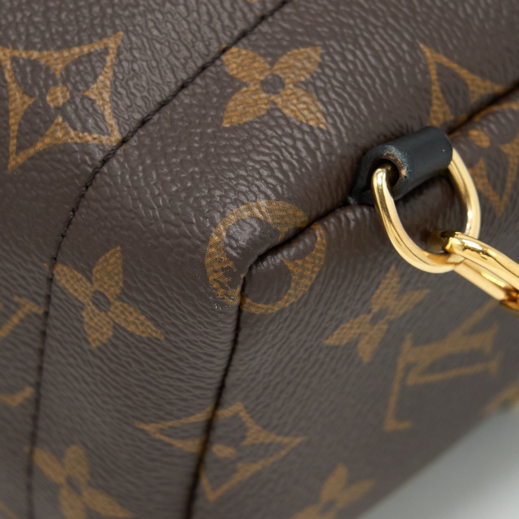 PALM SPRING MINI BACKPACK MONOGRAM CANVAS YEAR 2018