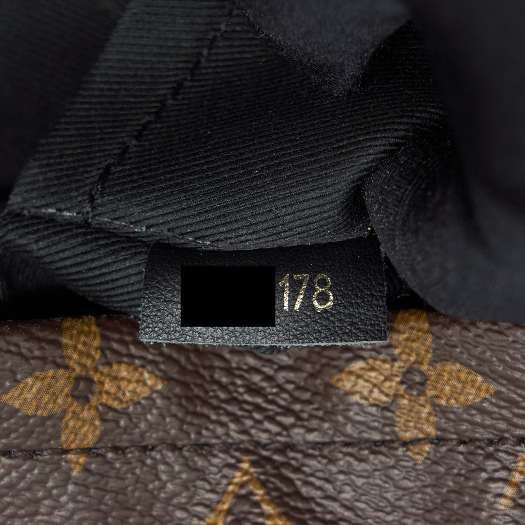 PALM SPRING MINI BACKPACK MONOGRAM CANVAS YEAR 2018