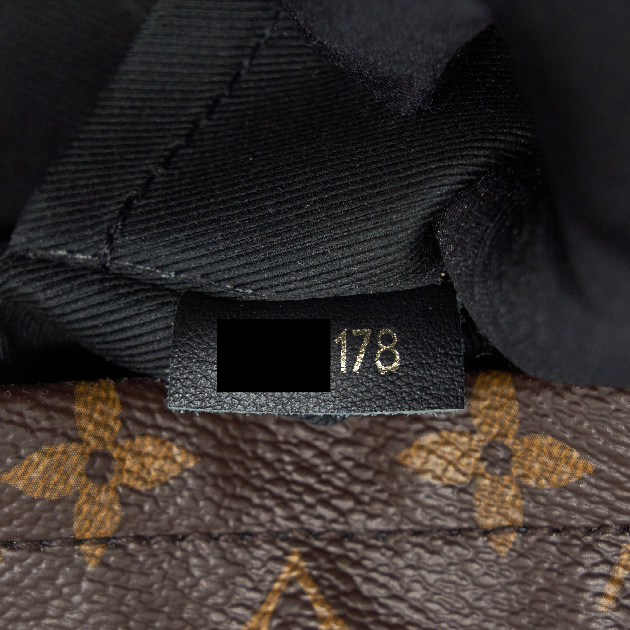 PALM SPRING MINI BACKPACK MONOGRAM CANVAS YEAR 2018