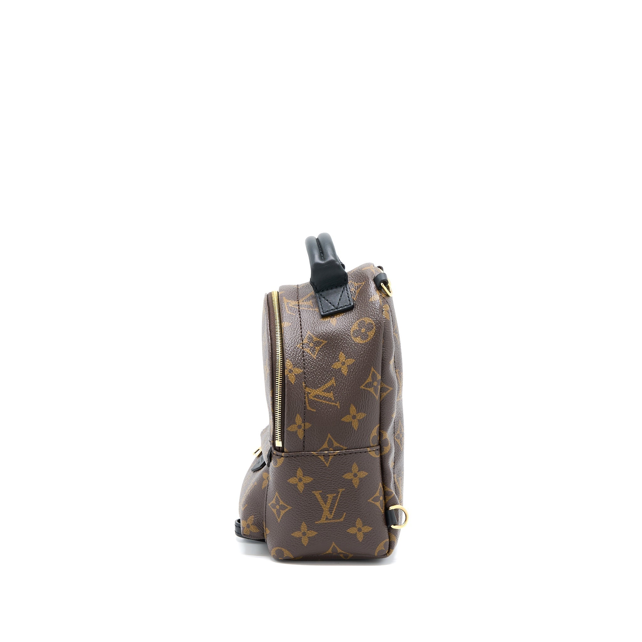 PALM SPRINGS MINI BACKPACK NEW VERSION MONOGRAM CANVAS GHW