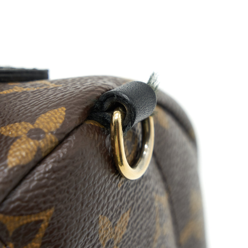 MINI PALM BACKPACK SPRING LIMITED EDITION MONOGRAM CANVAS GHW