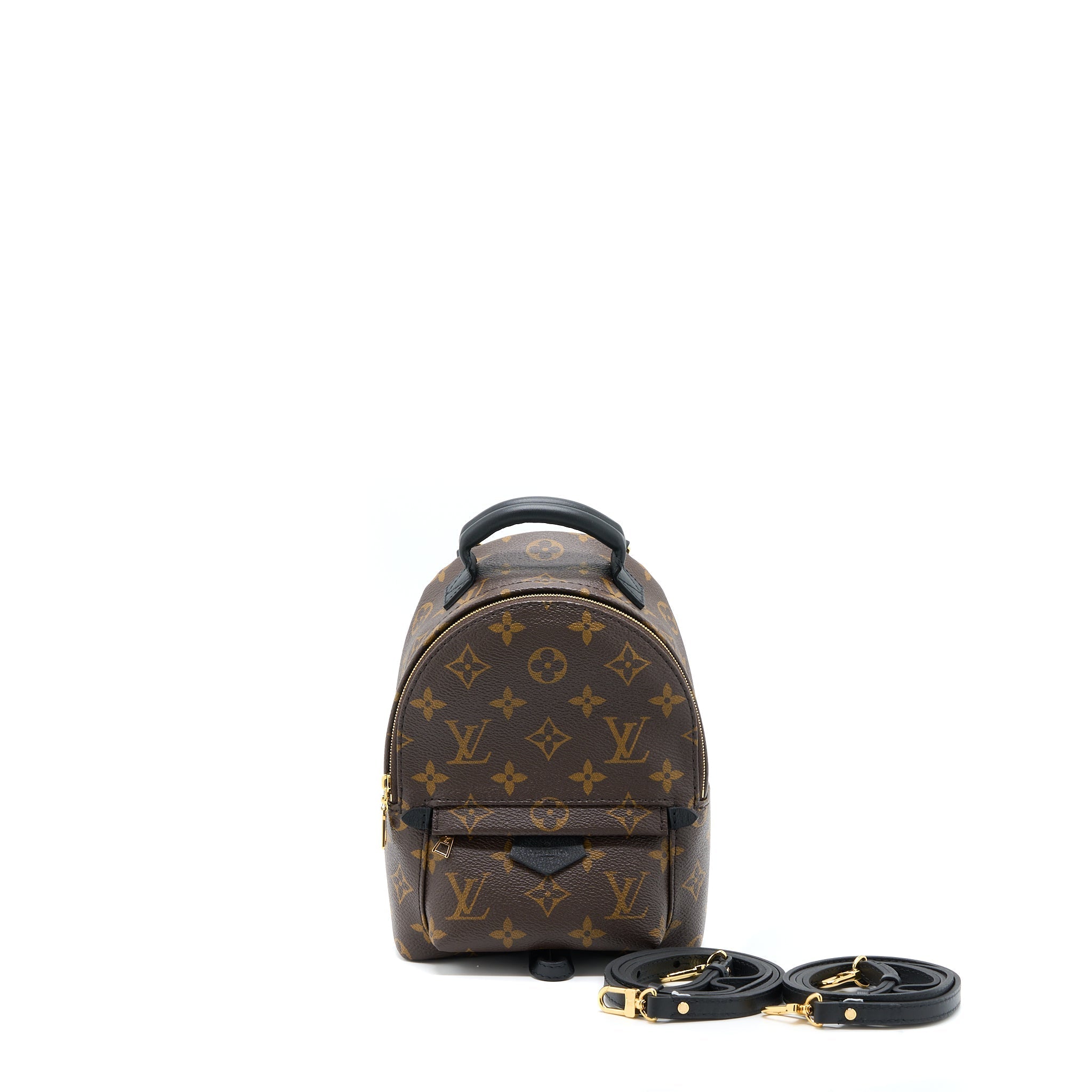 PALM SPRINGS MINI BACKPACK MONOGRAM CANVAS GHW (NEW VERSION)