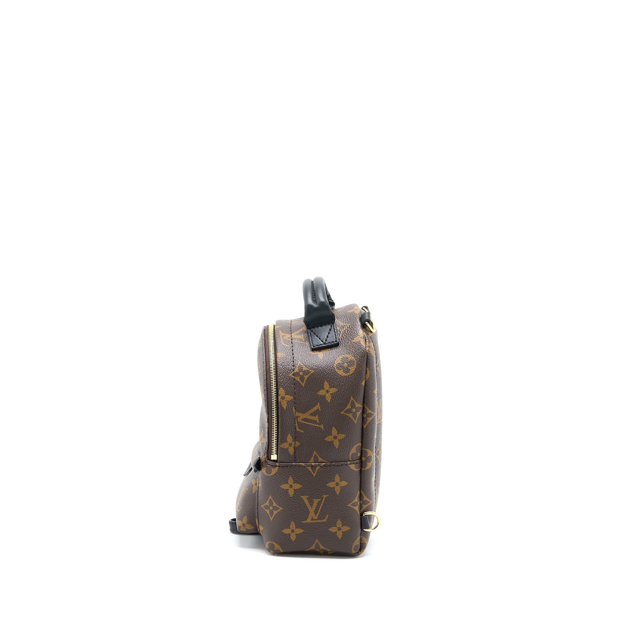 PALM SPRINGS MINI BACKPACK MONOGRAM CANVAS GHW (NEW VERSION)