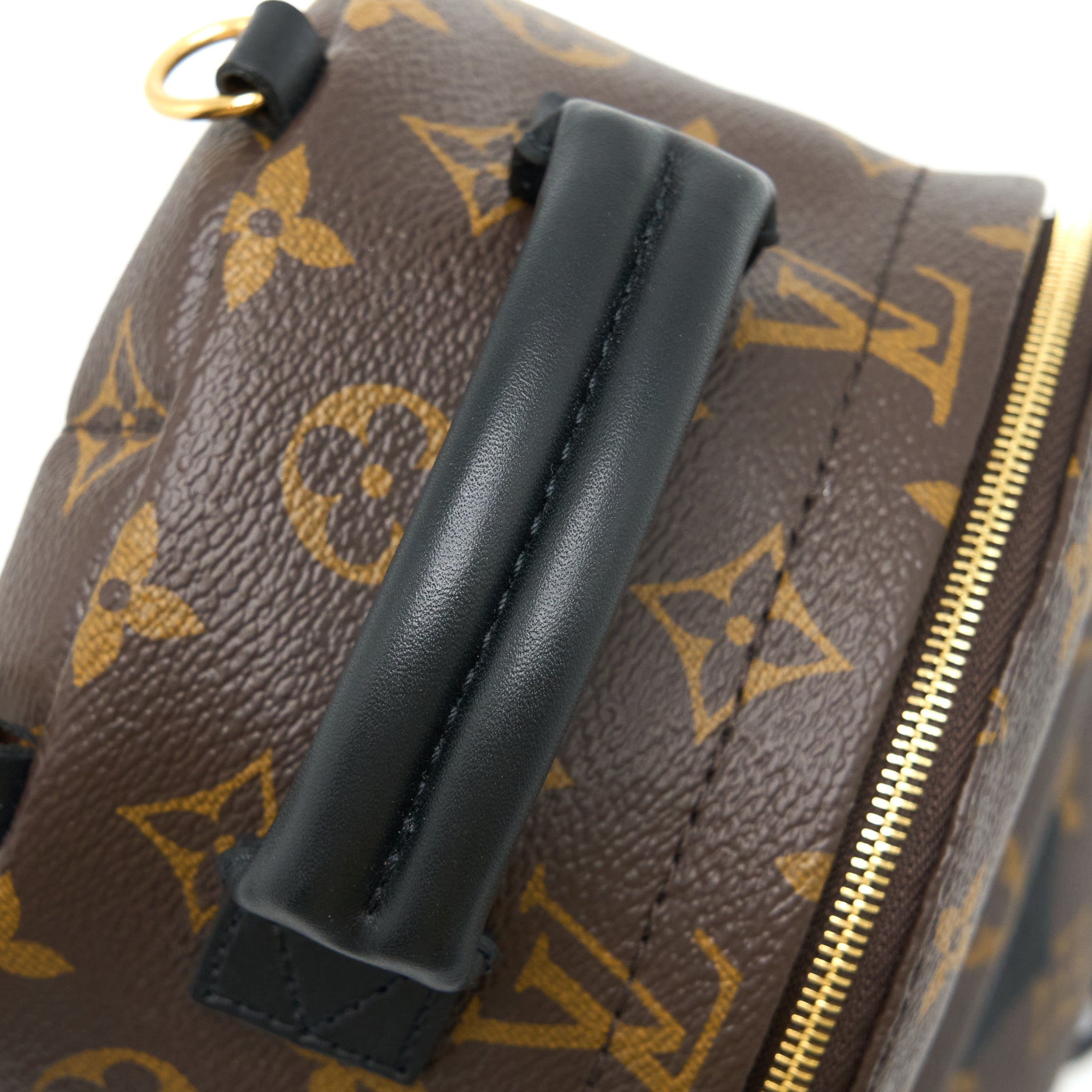 PALM SPRING MINI BACKPACK MONOGRAM CANVAS GHW (NEW VERSION)