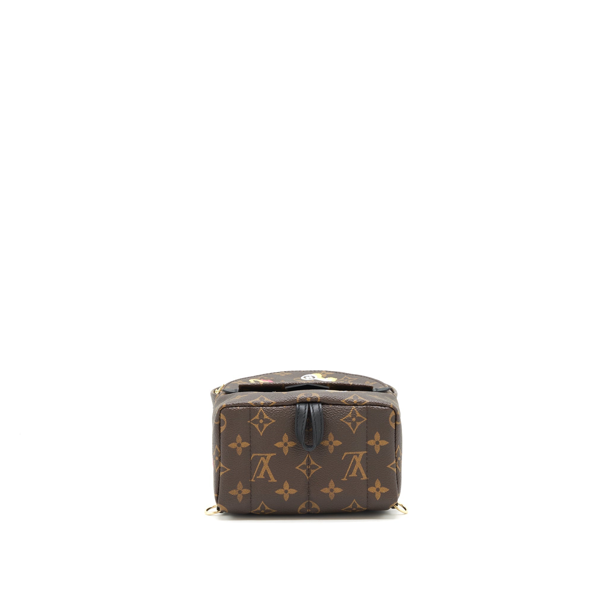 PALM SPRING MINI LIMITED EDITION MONOGRAM