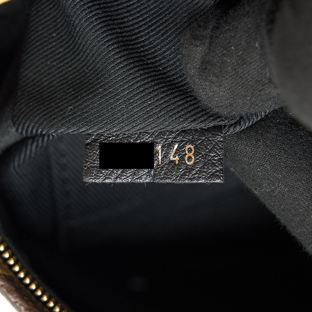 PALM SPRING MINI LIMITED EDITION MONOGRAM