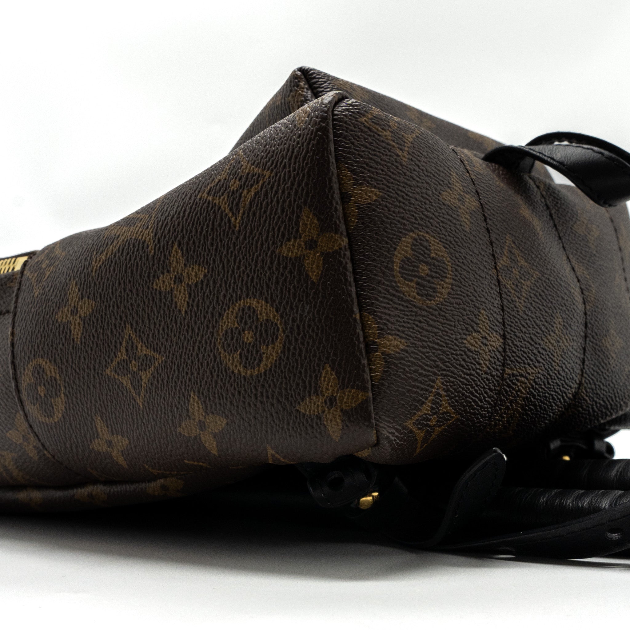PALM SPRING BACKPACK PM MONOGRAM CANVAS GHW