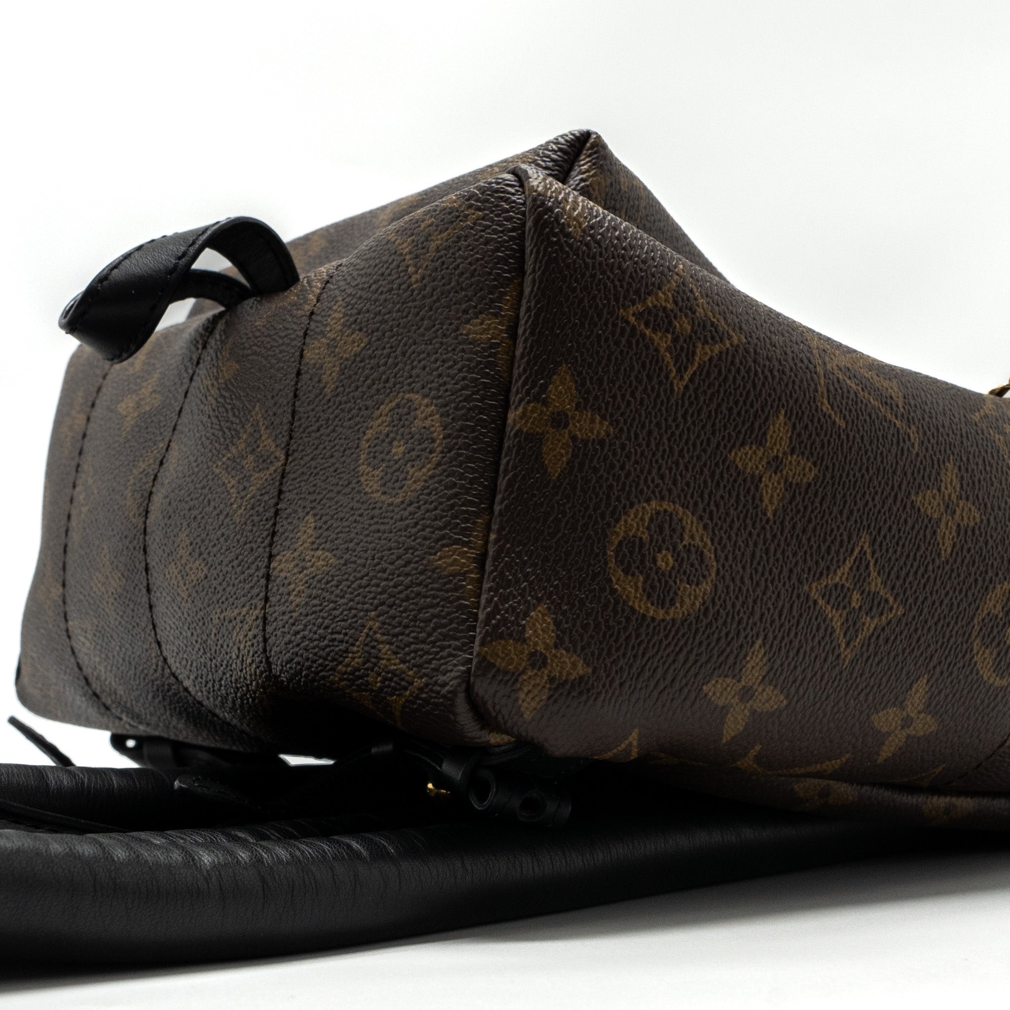 PALM SPRING BACKPACK PM MONOGRAM CANVAS GHW