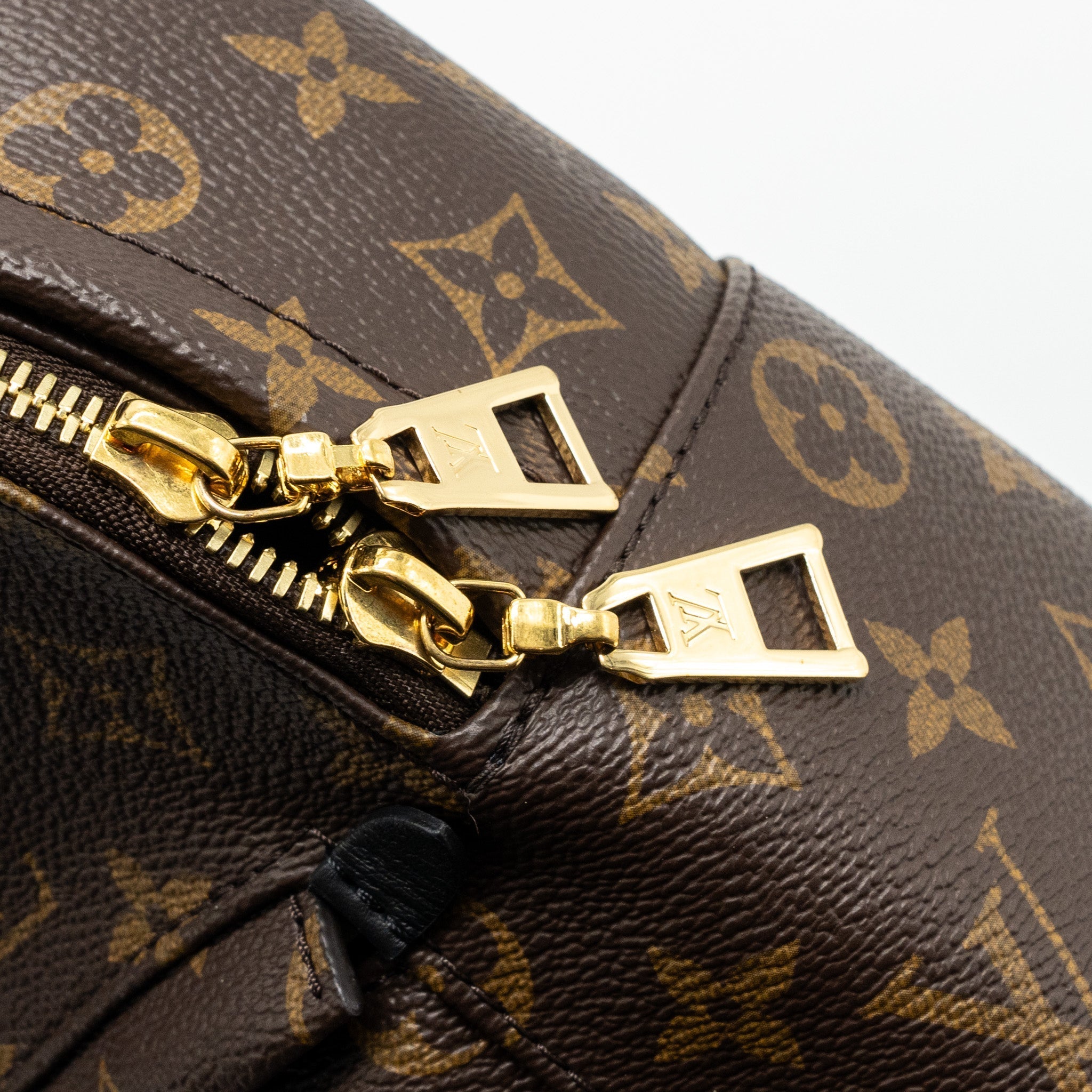 PALM SPRING BACKPACK PM MONOGRAM CANVAS GHW