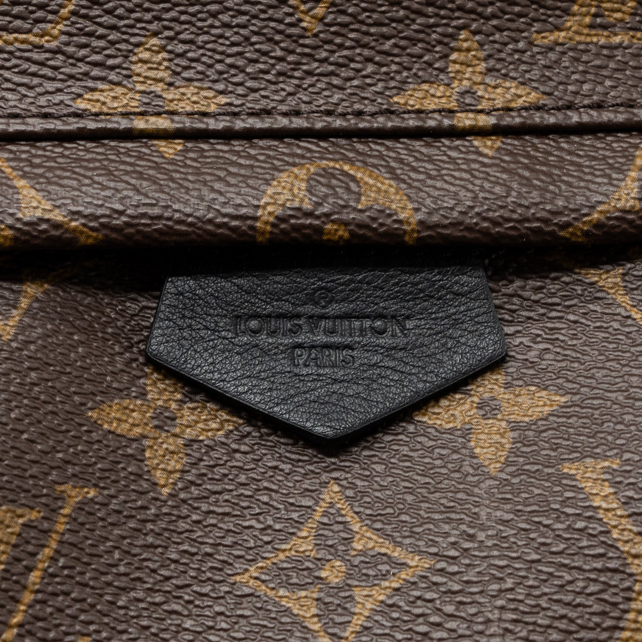 PALM SPRING BACKPACK PM MONOGRAM CANVAS GHW