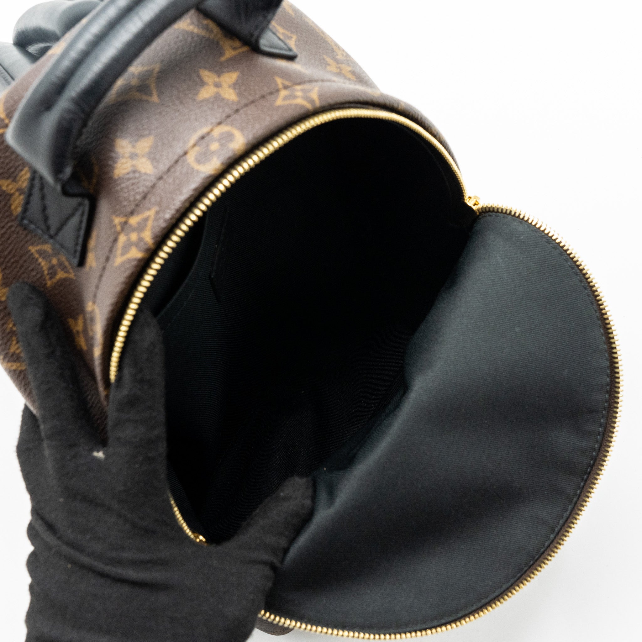 PALM SPRING BACKPACK PM MONOGRAM CANVAS GHW