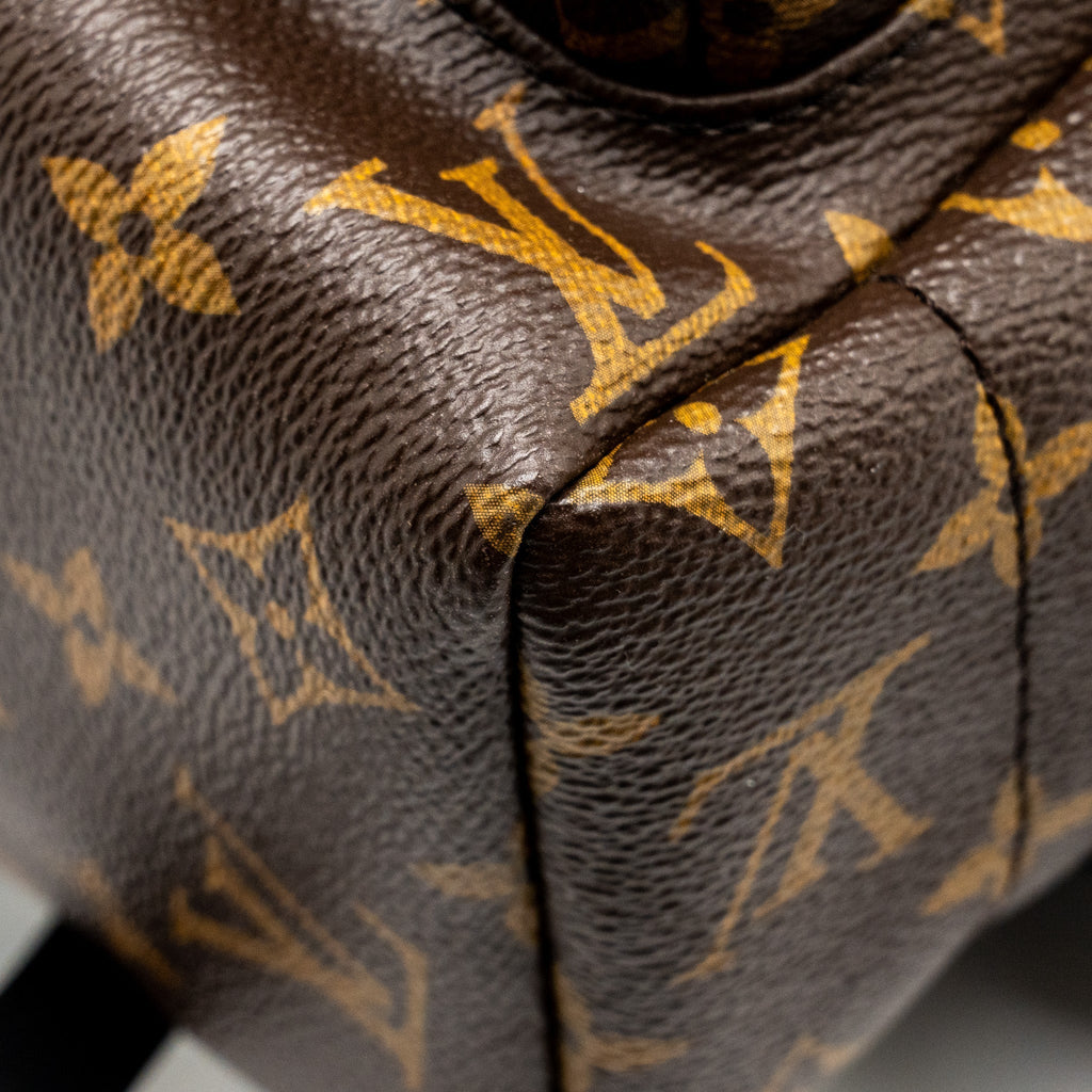 PALM SPRING BACKPACK MM MONOGRAM CANVAS