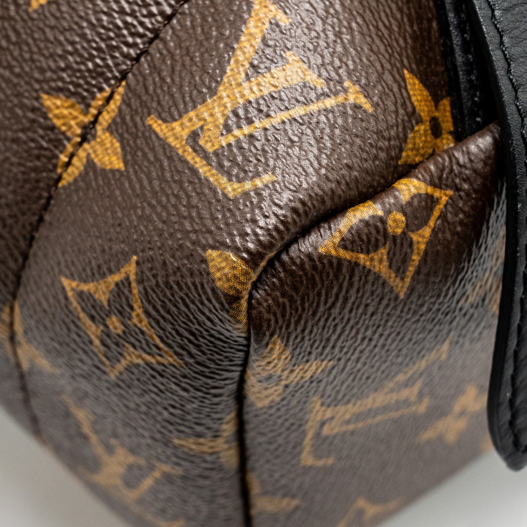 PALM SPRING BACKPACK MM MONOGRAM CANVAS
