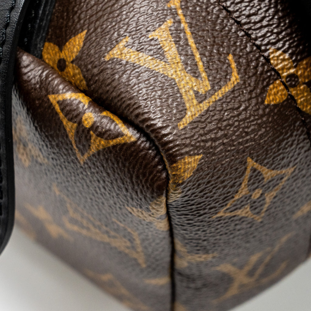 PALM SPRING BACKPACK MM MONOGRAM CANVAS