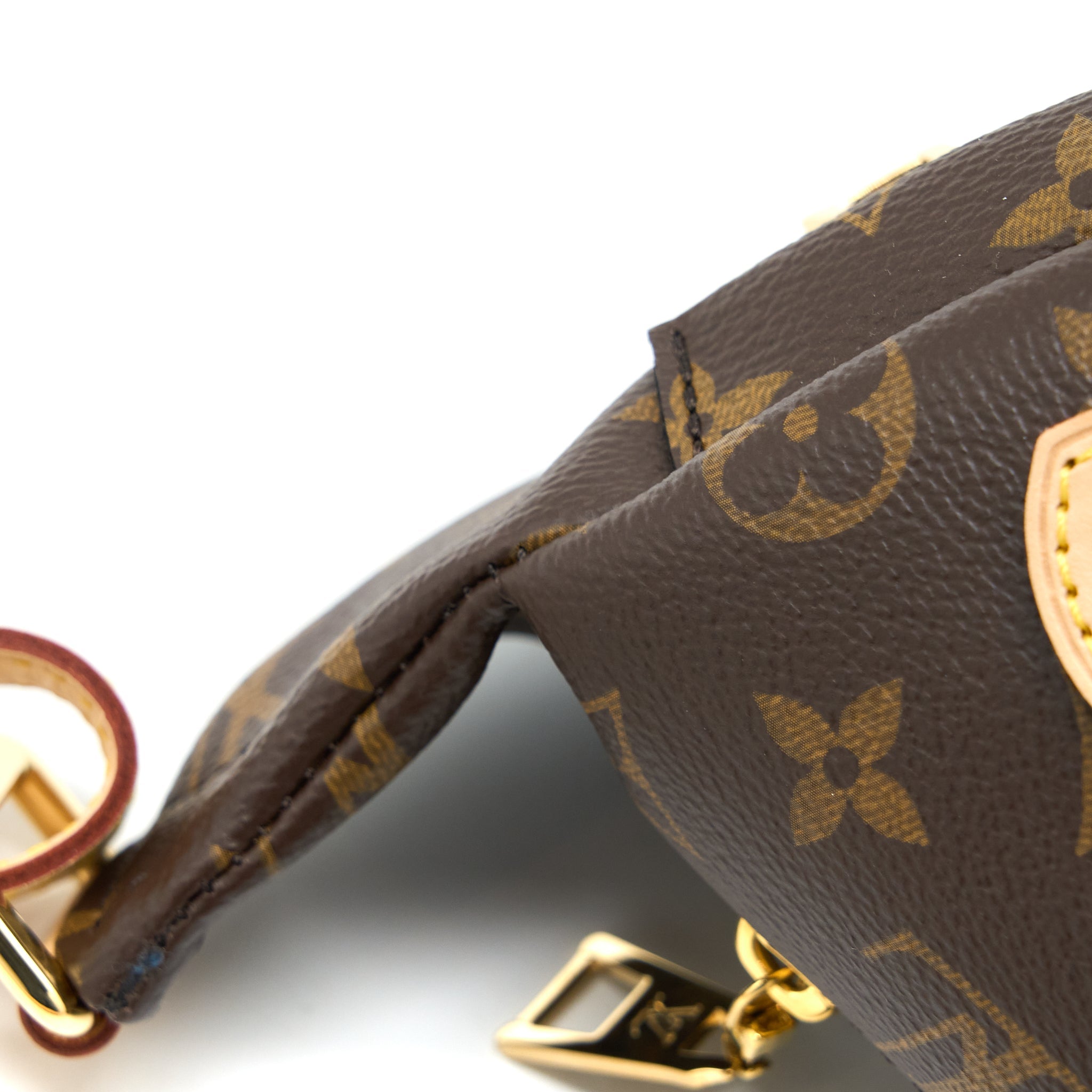 BUMBAG MONOGRAM CANVAS GHW