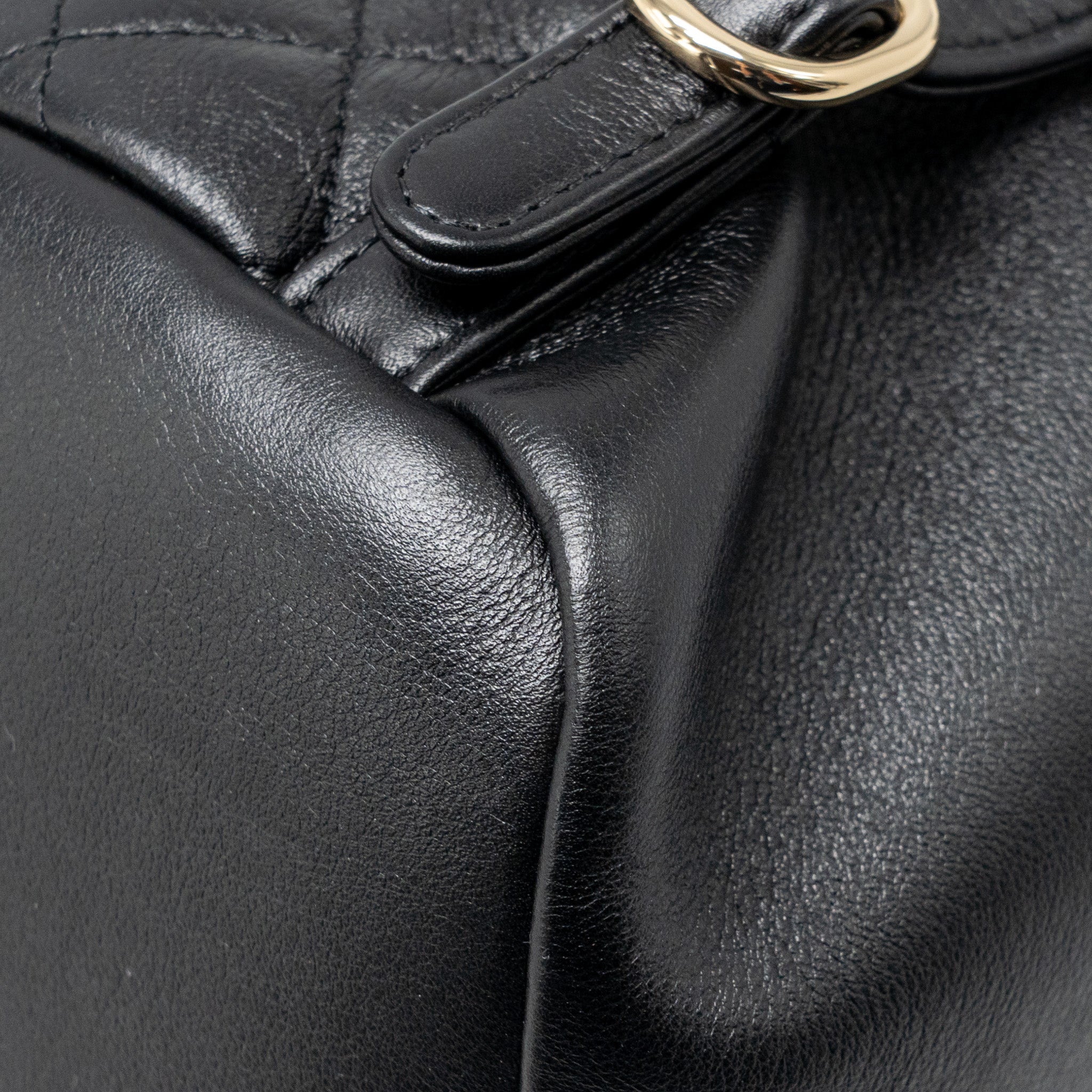 LARGE DUMA BACKPACK CALFSKIN BLACK LGHW (MICROCHIP)