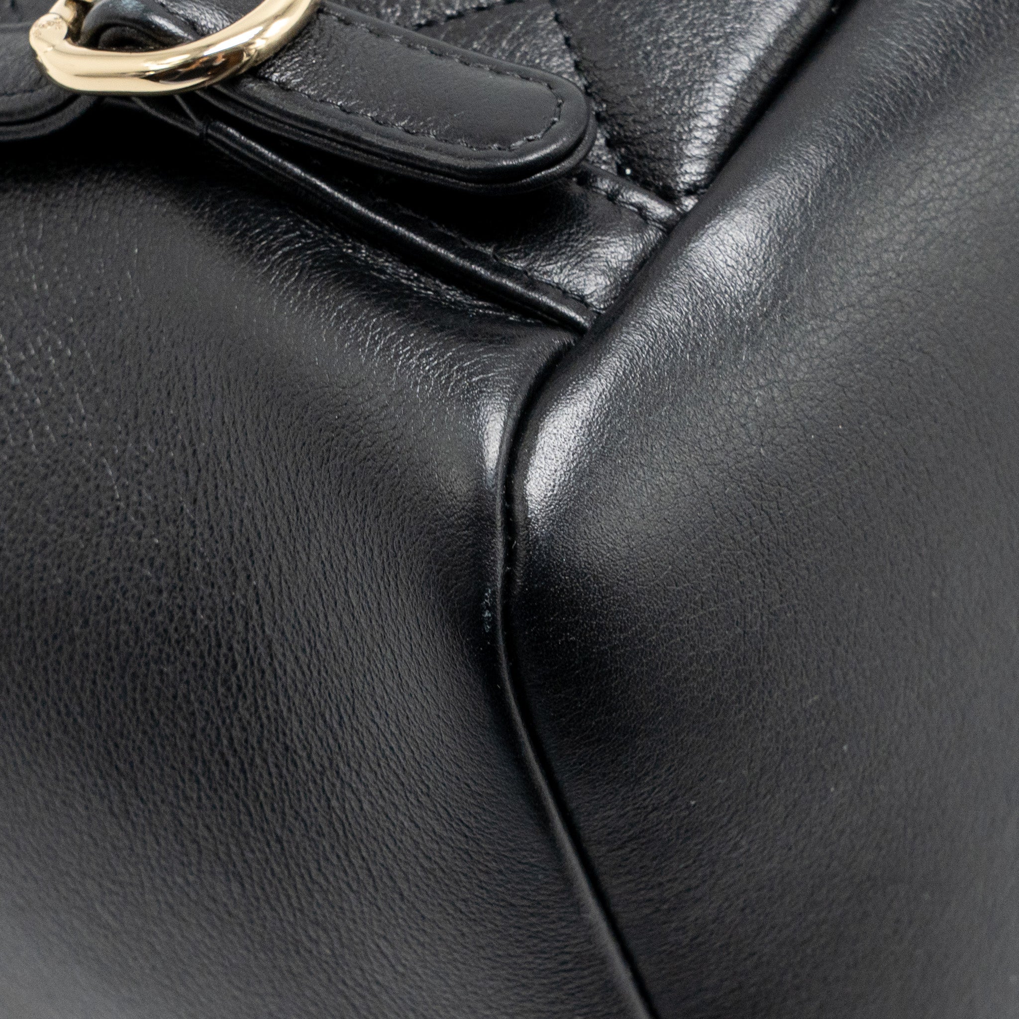 LARGE DUMA BACKPACK CALFSKIN BLACK LGHW (MICROCHIP)