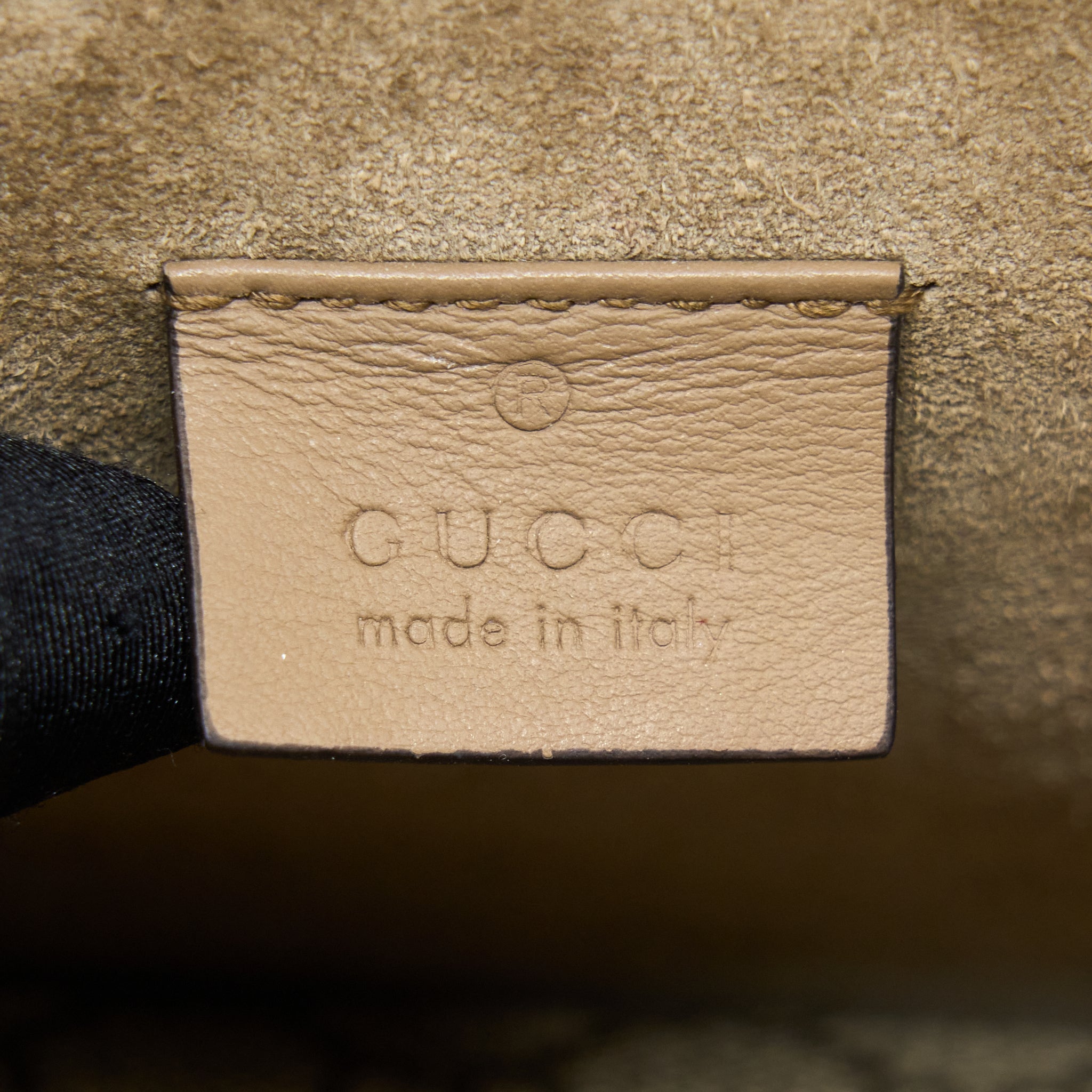 MINI DIONYSUS SUPREME SUEDE CROSSBODY BAG SHW
