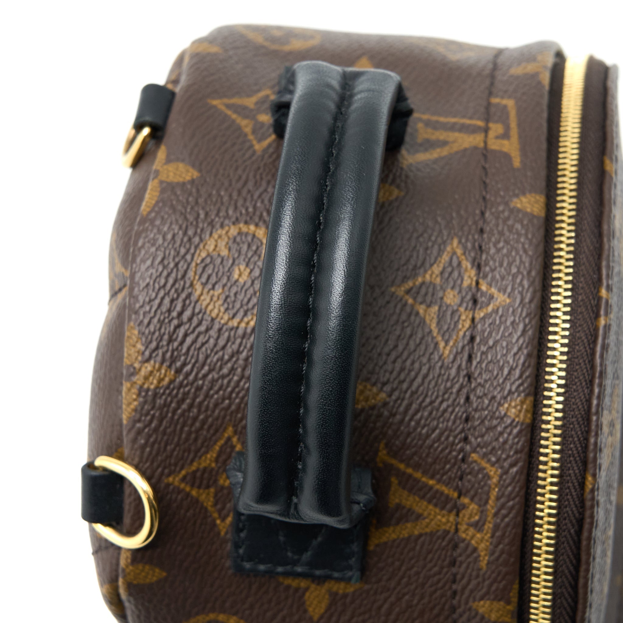MINI PALM SPRING BACKPACK MONOGRAM CANVAS GHW (NEW VERSION)