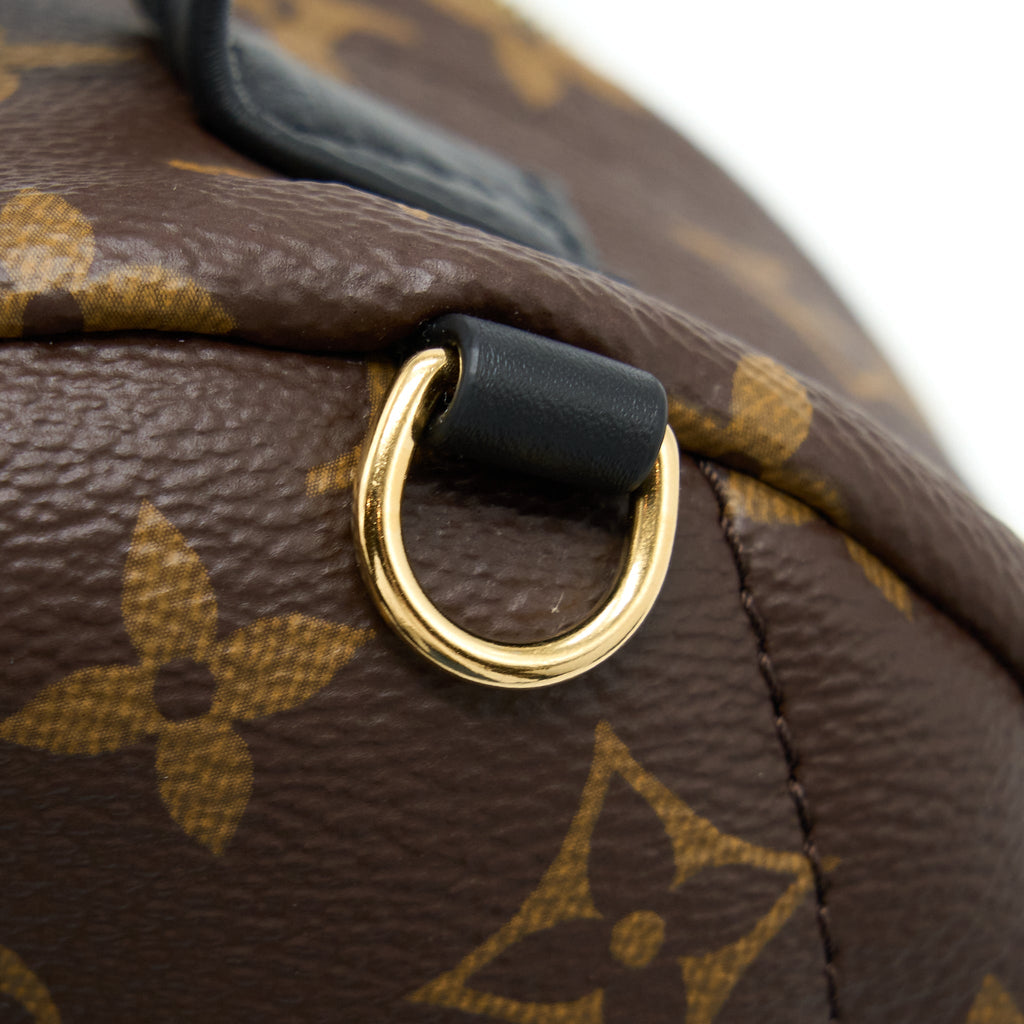 PALM SPRINGS MINI BACKPACK MONOGRAM CANVAS GHW (NEW VERSION)