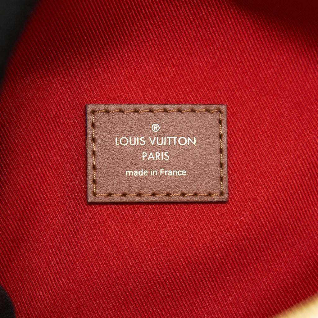 BUMBAG MONOGRAM TEDDY FLEECE BEIGE/BROWN