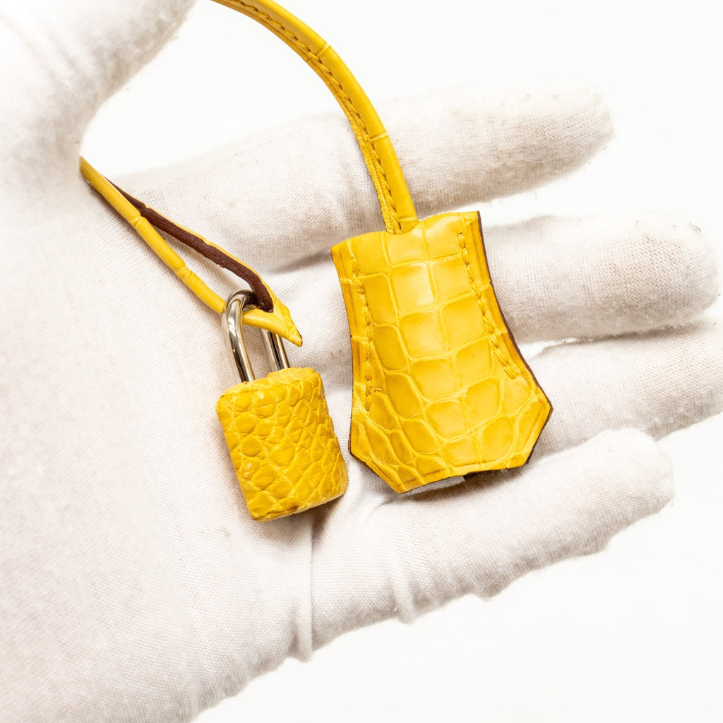 HERMES BIRKIN 25 ALLIGATOR MISSISSIPPIENSIS MAT 9D JAUNE AMBRE SHW