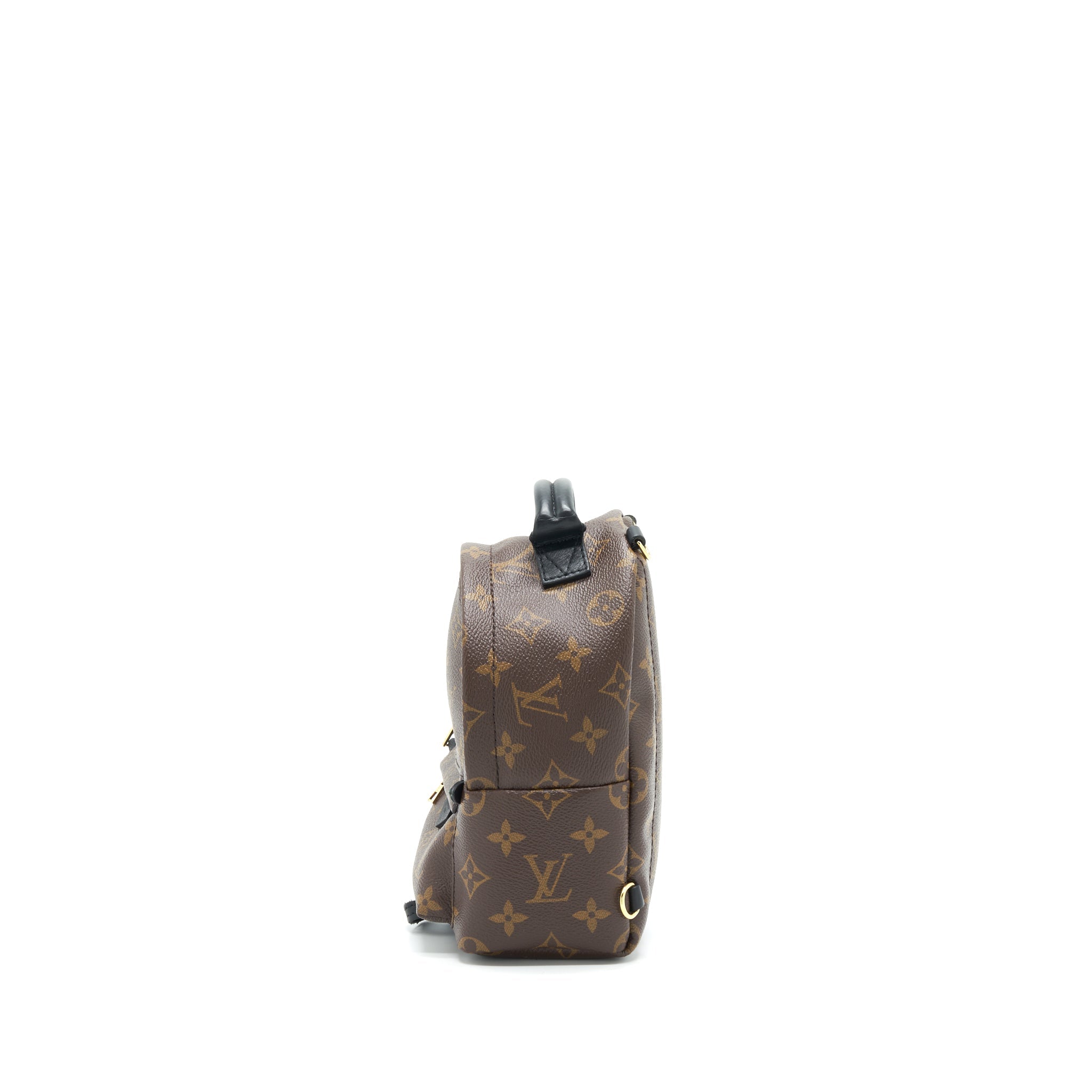 PALM SPRING BACKPACK MINI MONOGRAM CANVAS