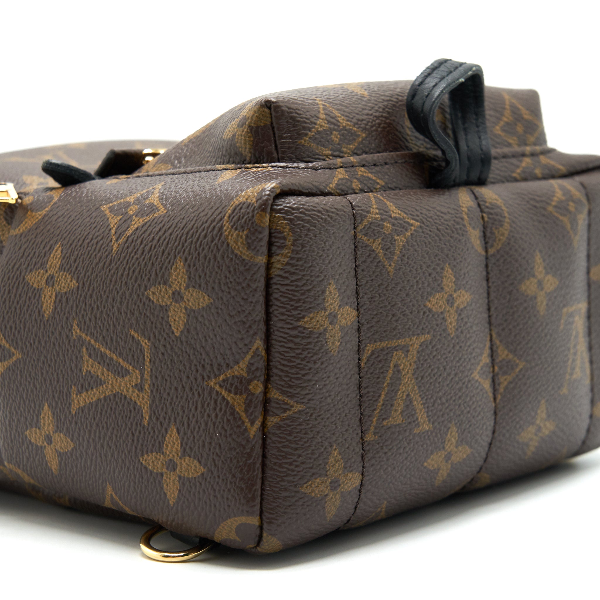 PALM SPRING BACKPACK MINI MONOGRAM CANVAS