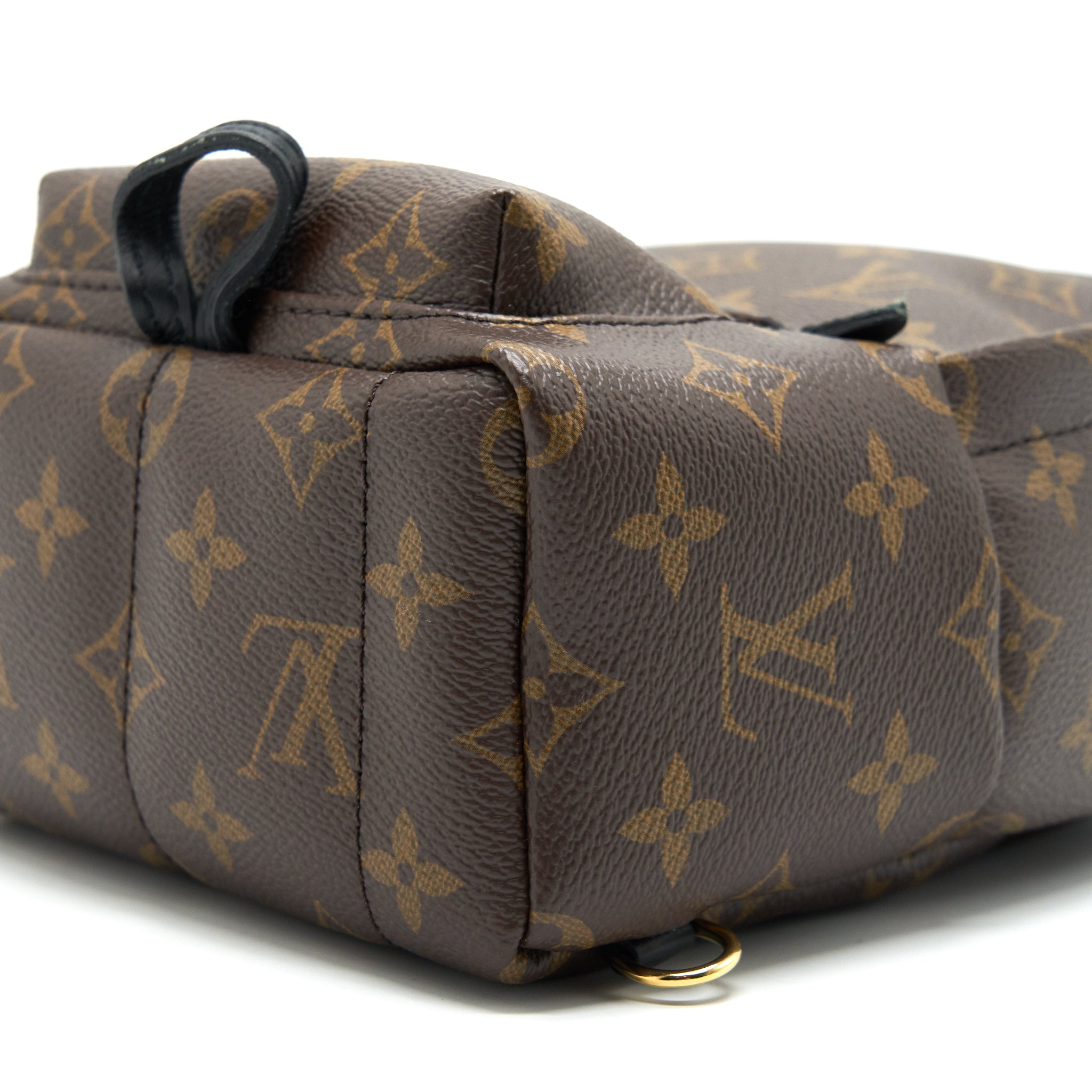 PALM SPRING BACKPACK MINI MONOGRAM CANVAS