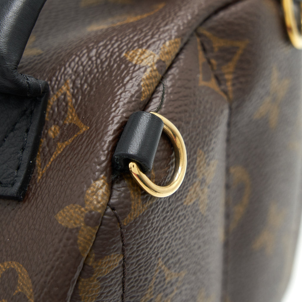 PALM SPRING BACKPACK MINI MONOGRAM CANVAS