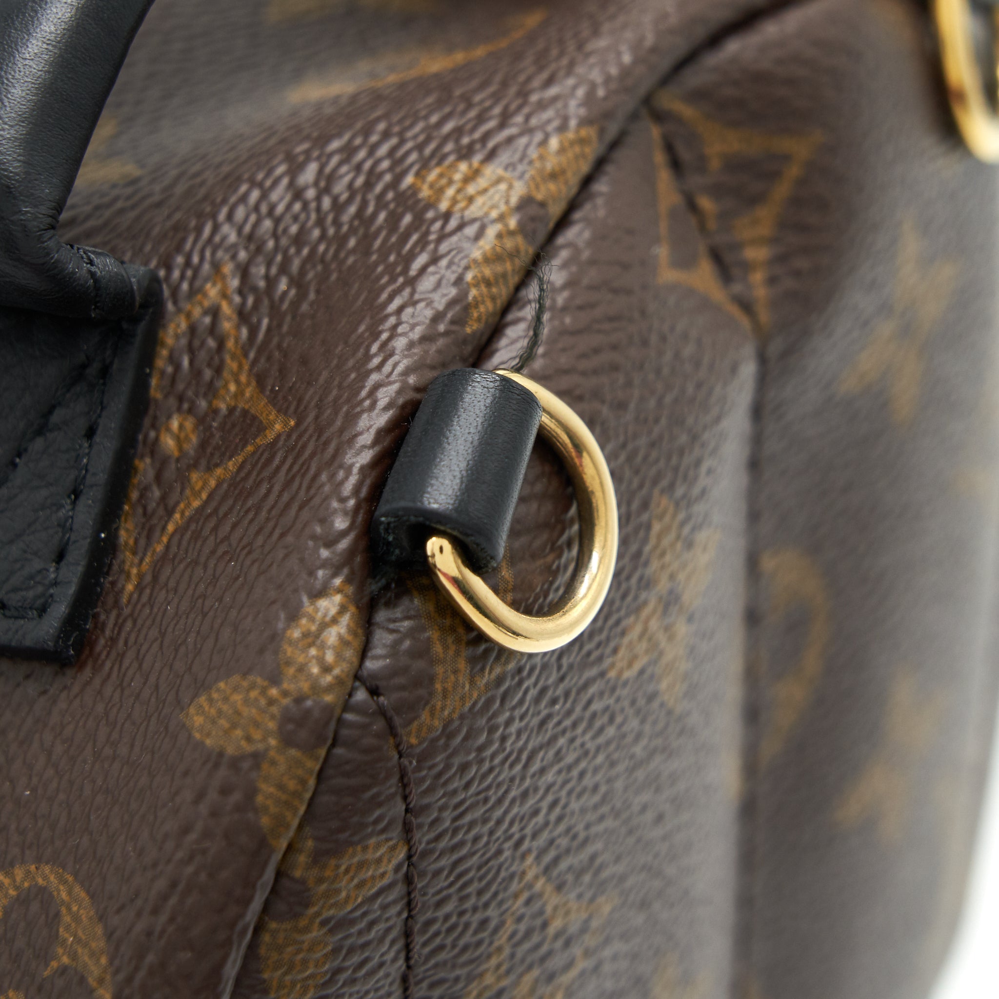 PALM SPRING BACKPACK MINI MONOGRAM CANVAS
