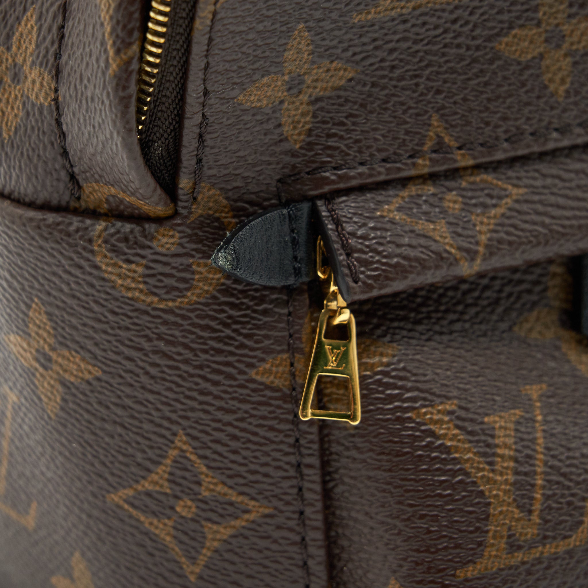 PALM SPRINGS MINI BACKPACK MONOGAM CANVAS