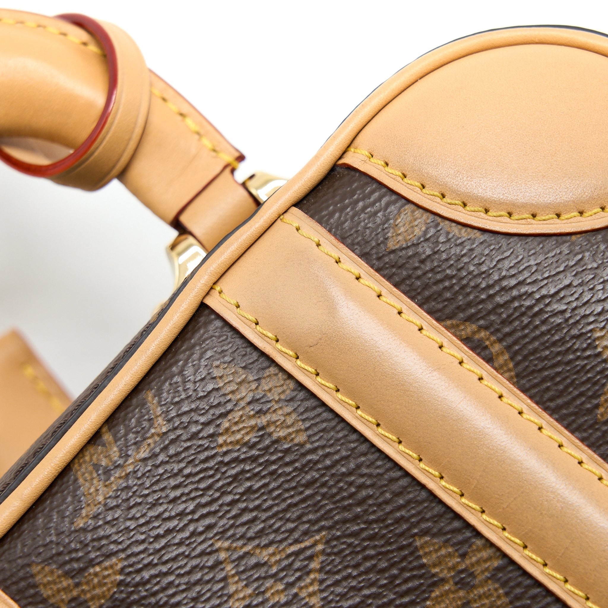 MINI LUGGAGE MONOGRAM CANVAS GHW